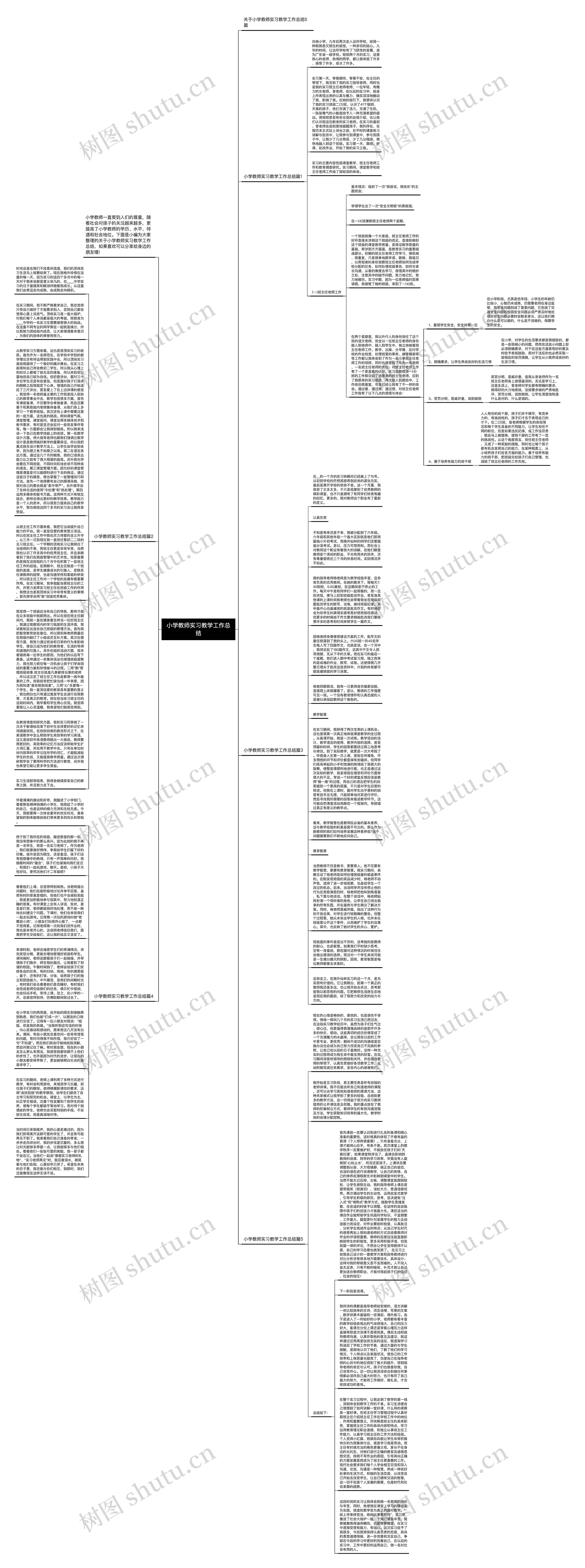 小学教师实习教学工作总结思维导图