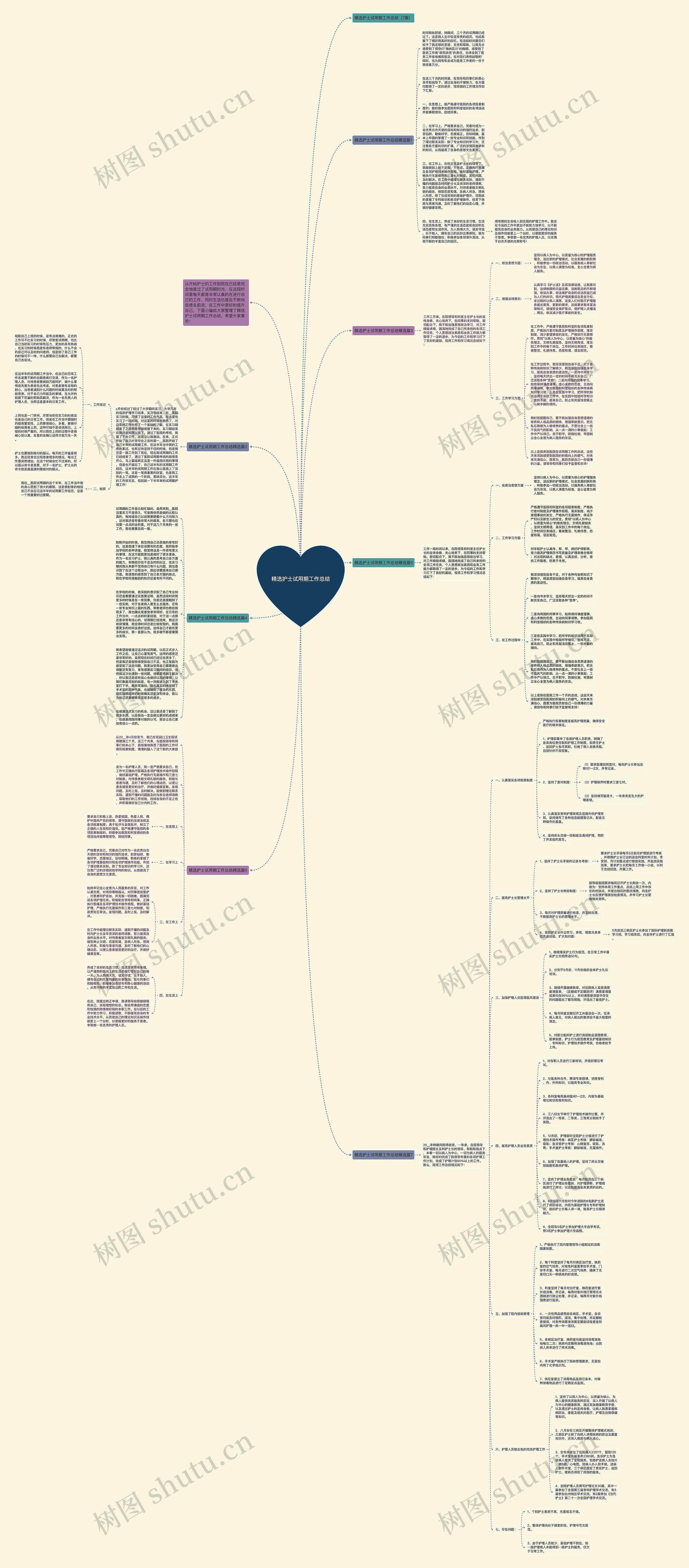 精选护士试用期工作总结思维导图