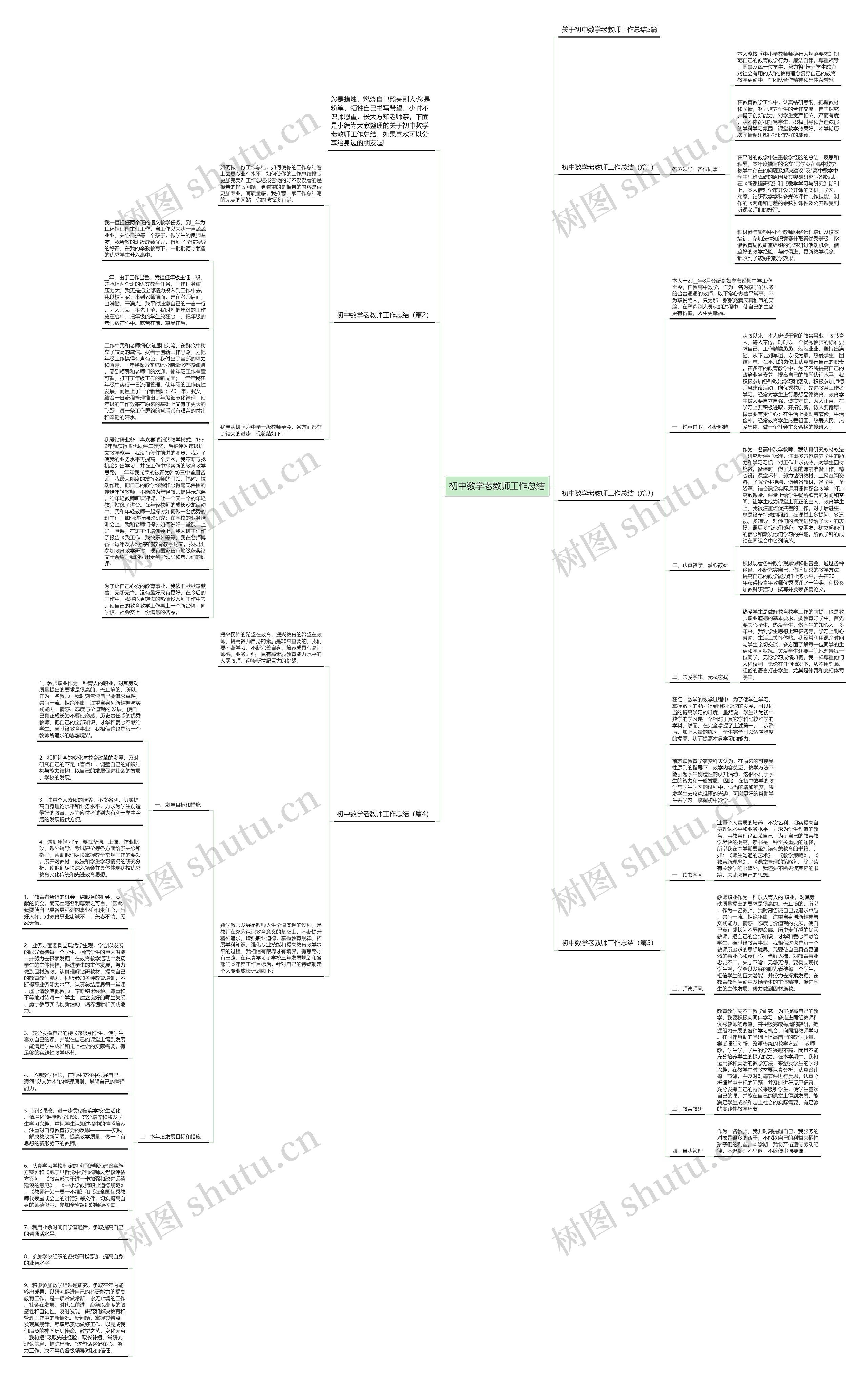 初中数学老教师工作总结思维导图