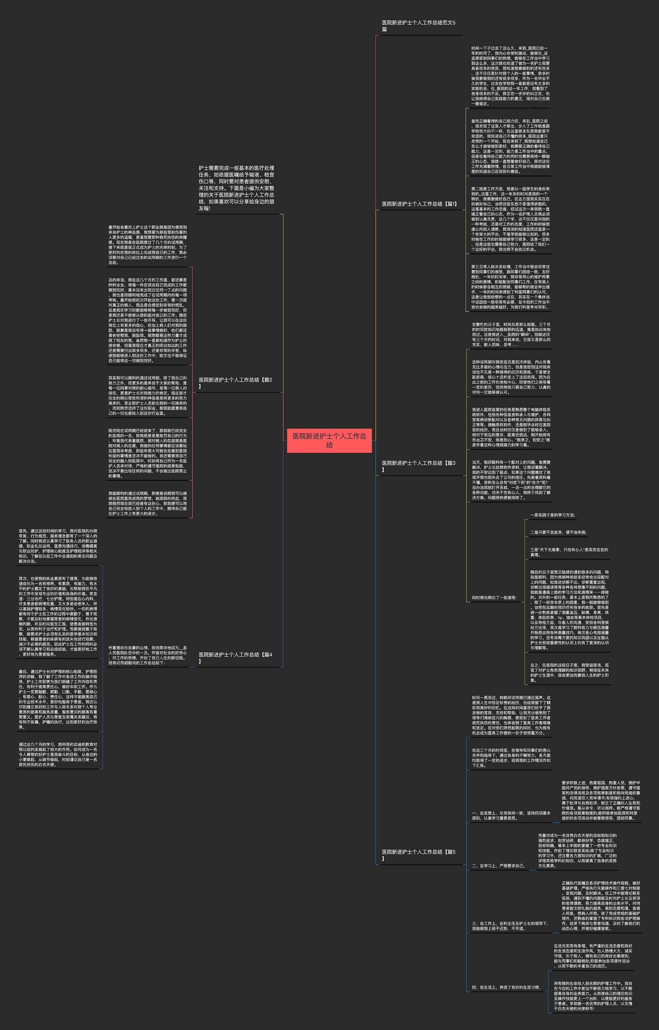 医院新进护士个人工作总结