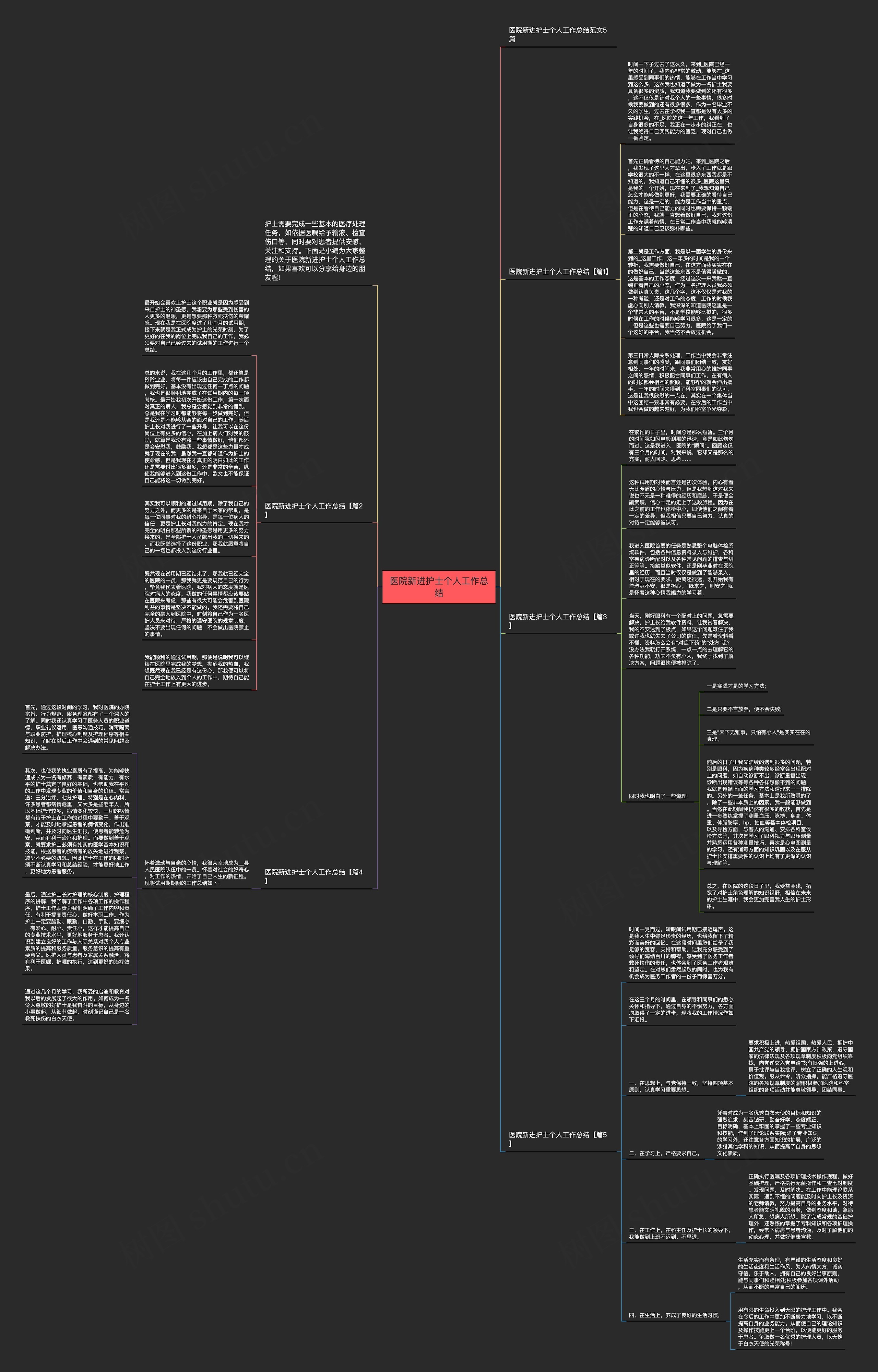 医院新进护士个人工作总结思维导图