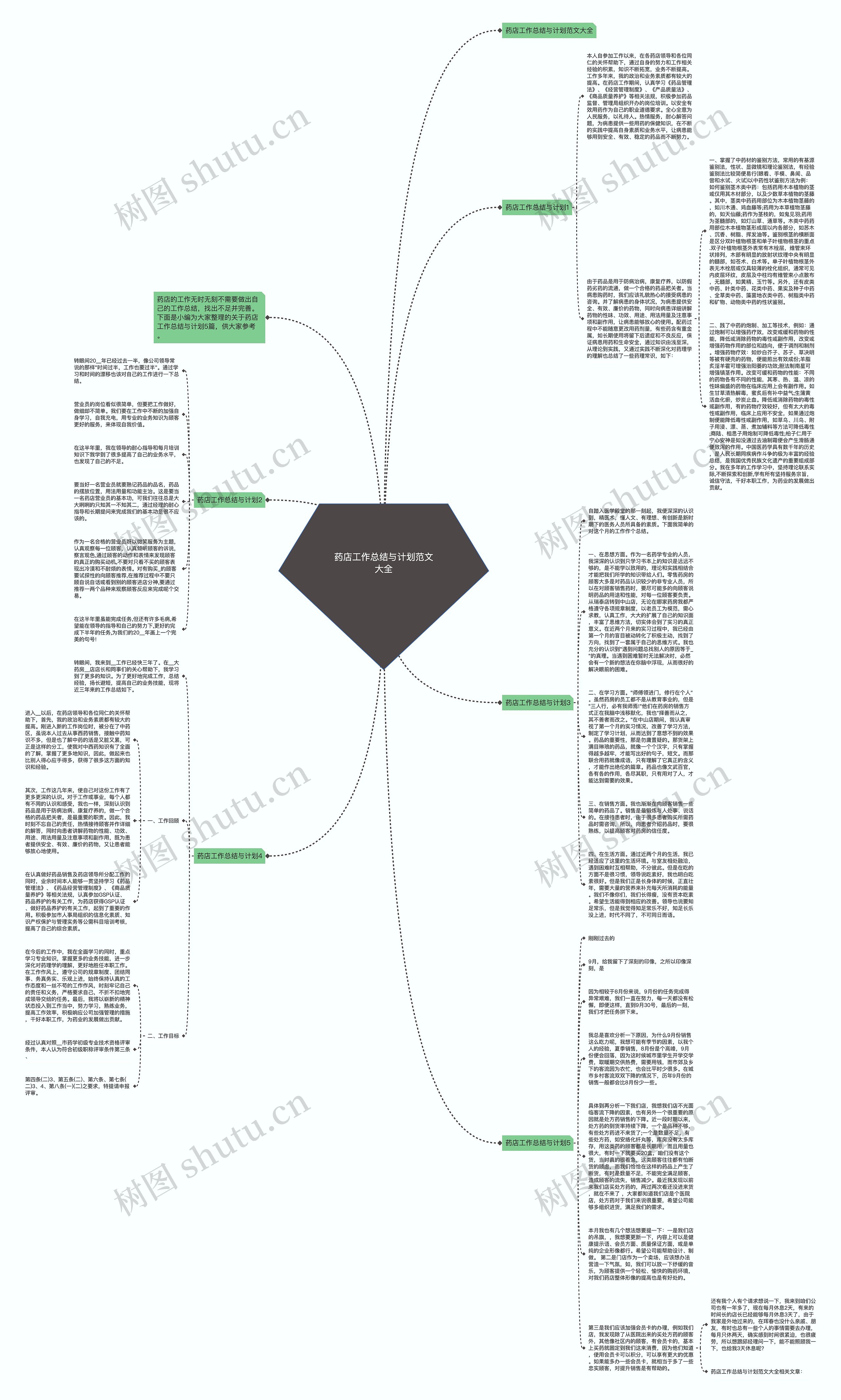 药店工作总结与计划范文大全思维导图