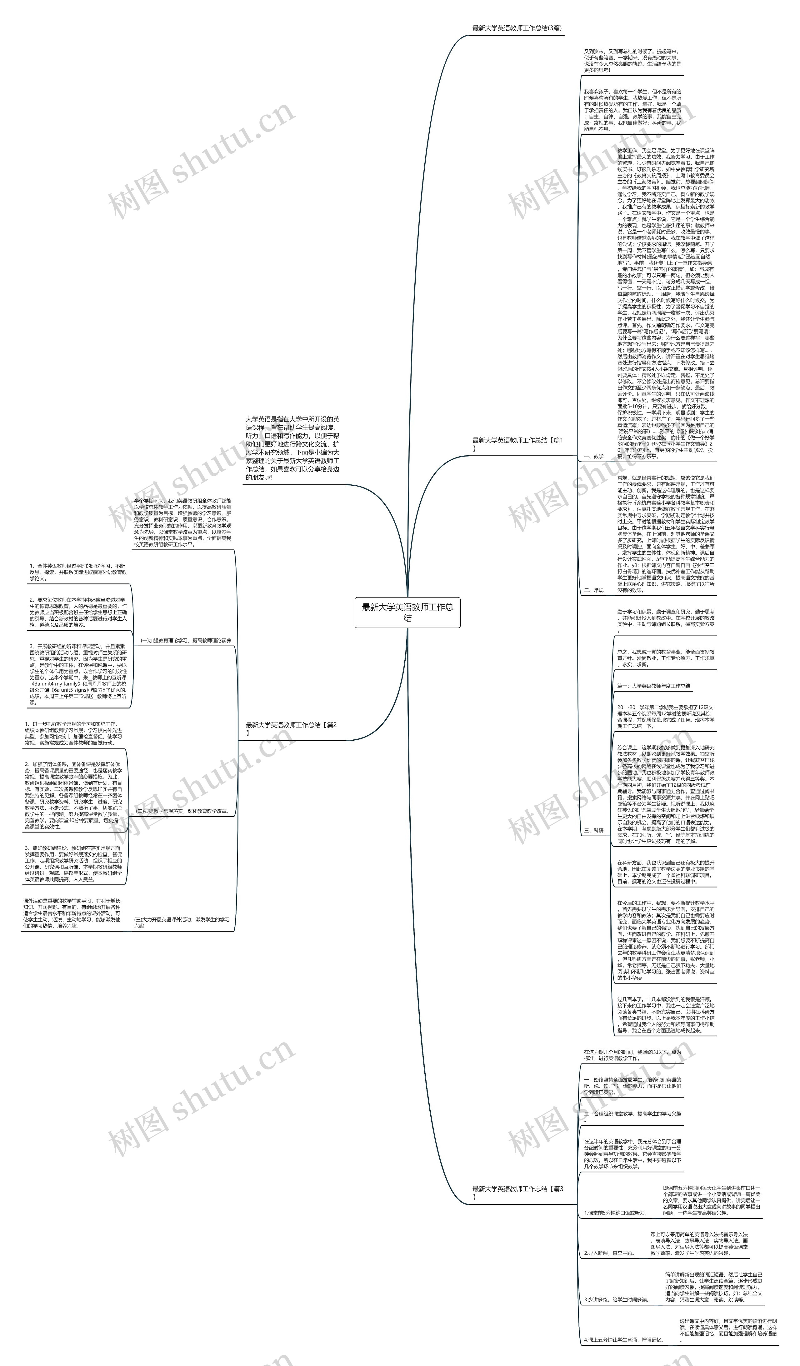 最新大学英语教师工作总结思维导图