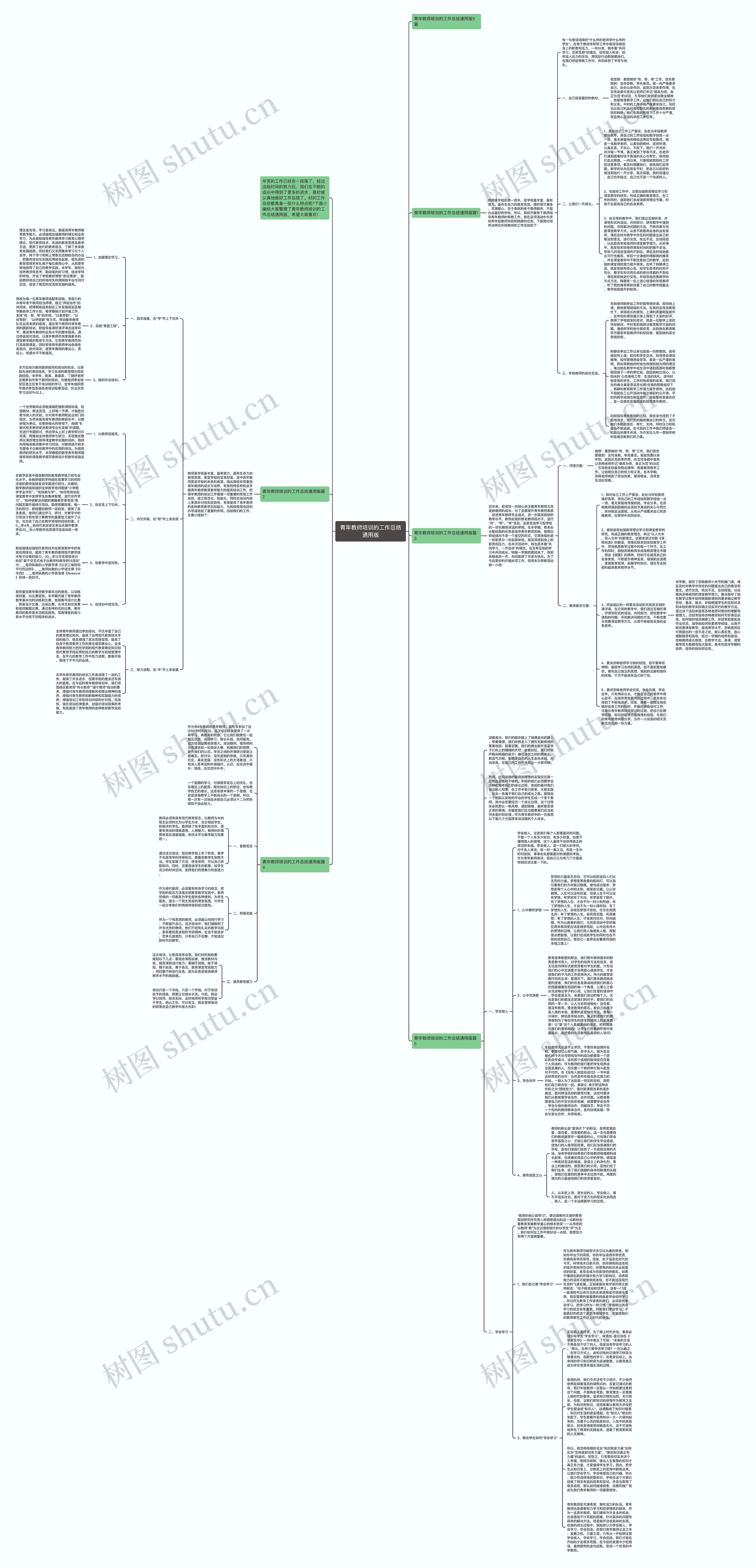 青年教师培训的工作总结通用版思维导图