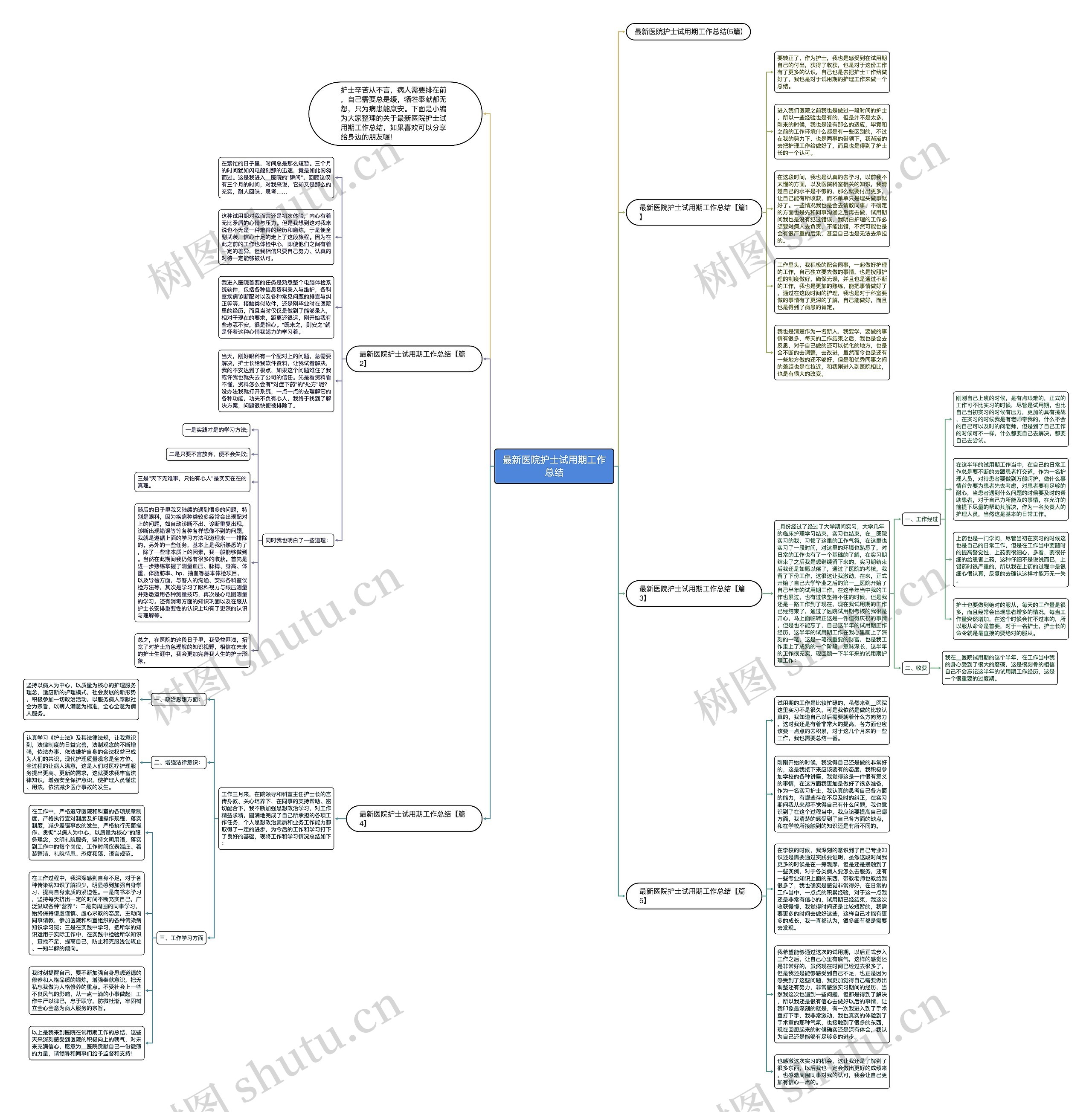 最新医院护士试用期工作总结思维导图