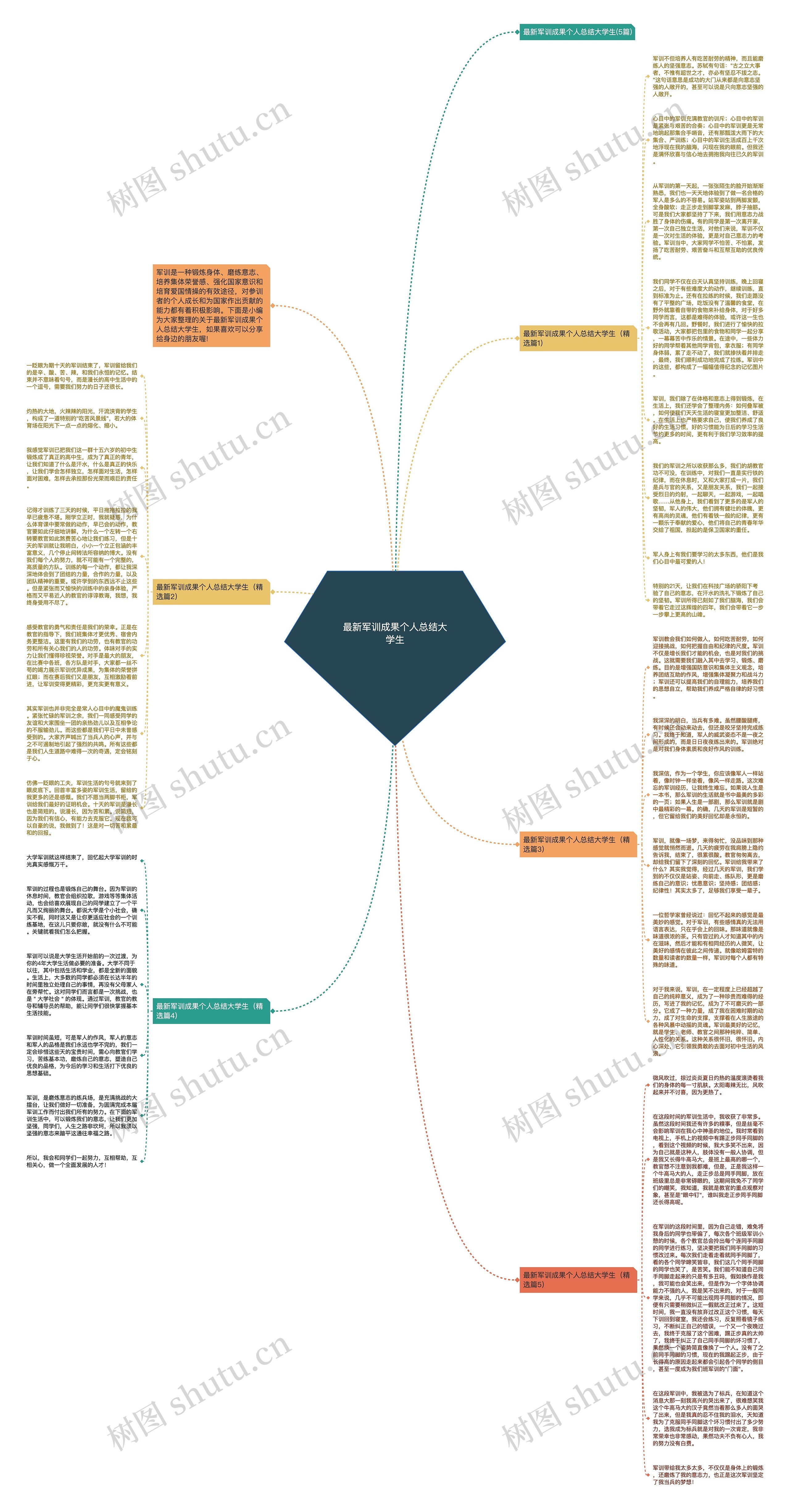 最新军训成果个人总结大学生思维导图