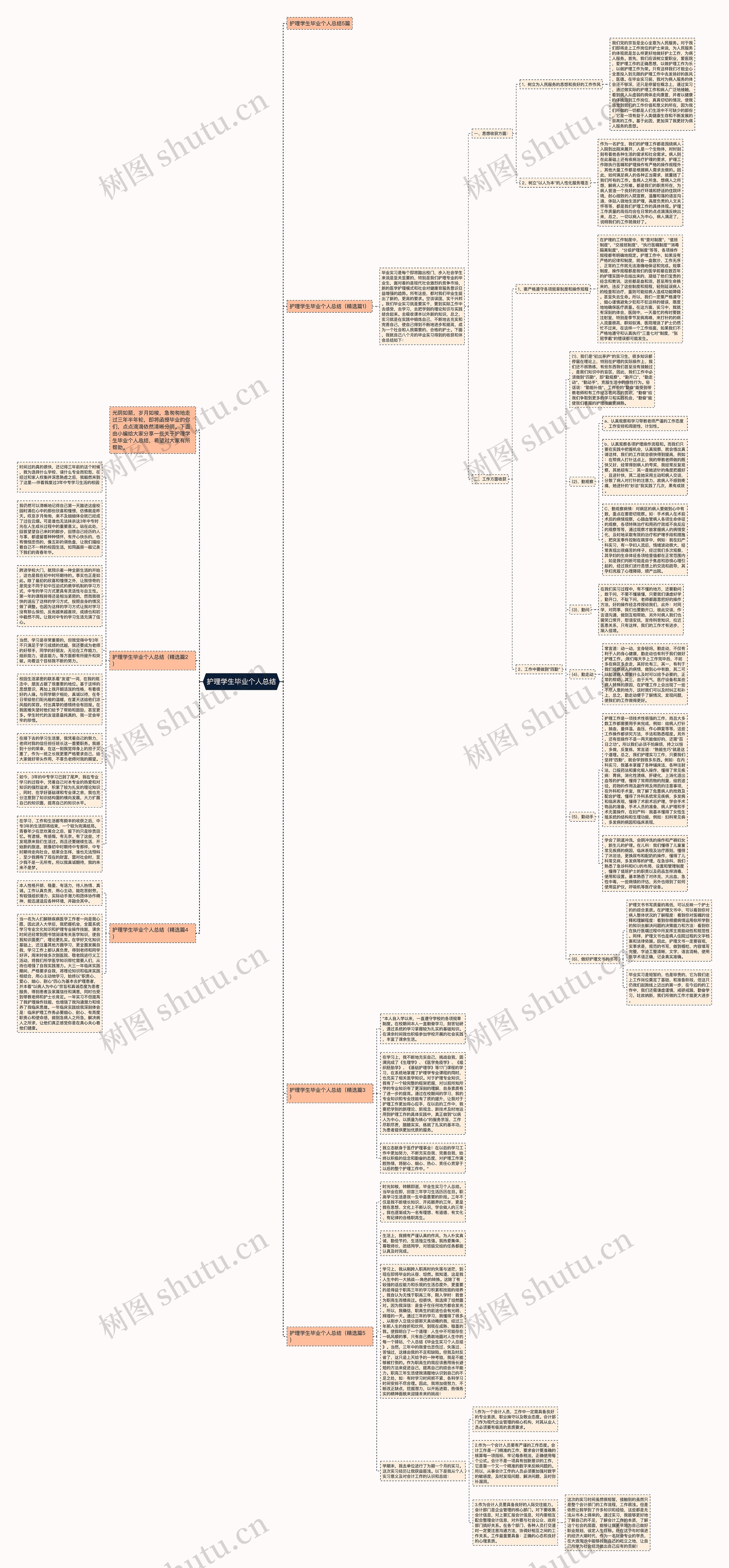 护理学生毕业个人总结思维导图