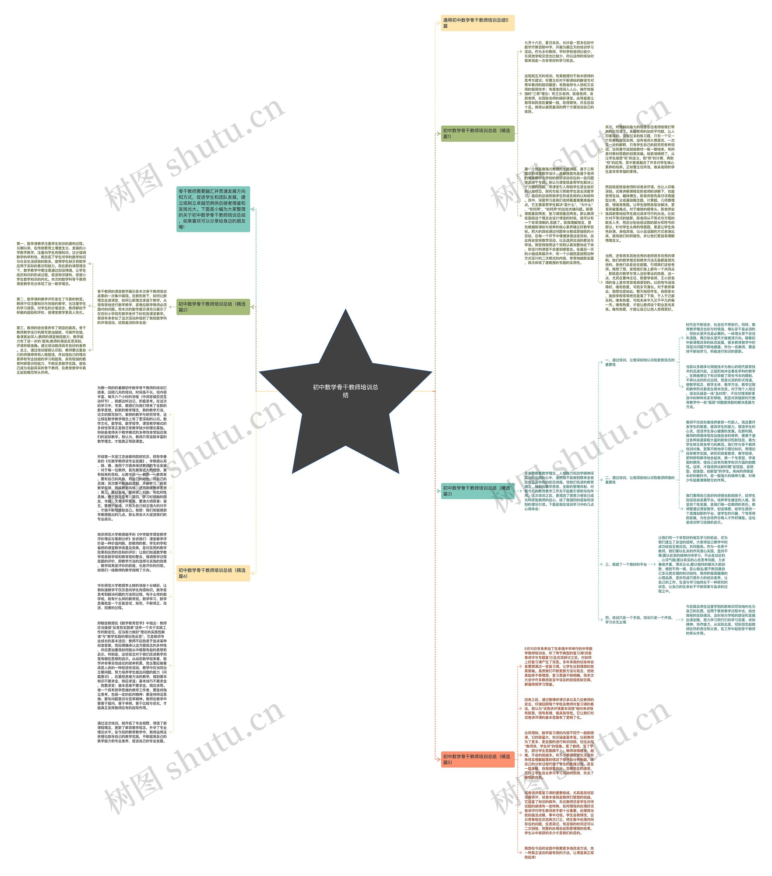初中数学骨干教师培训总结思维导图