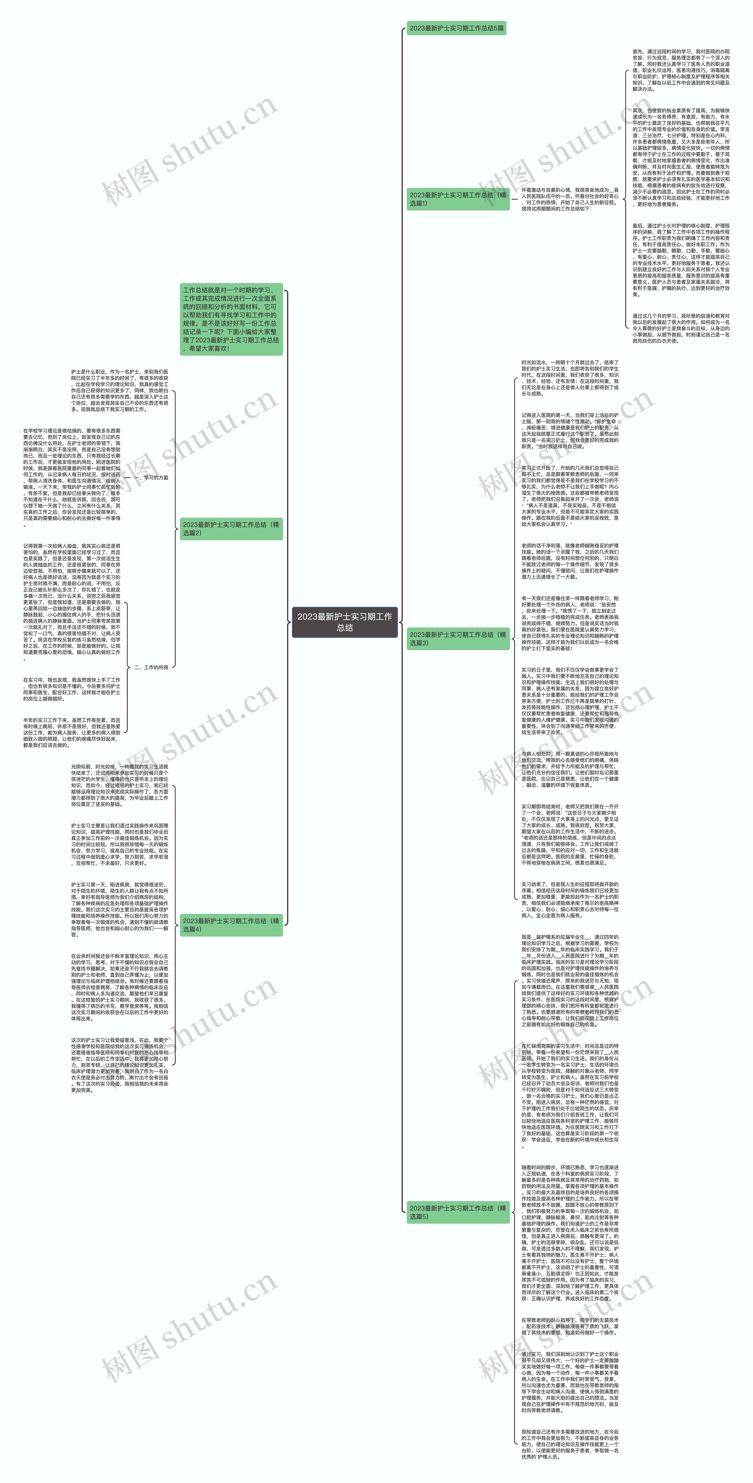 2023最新护士实习期工作总结思维导图