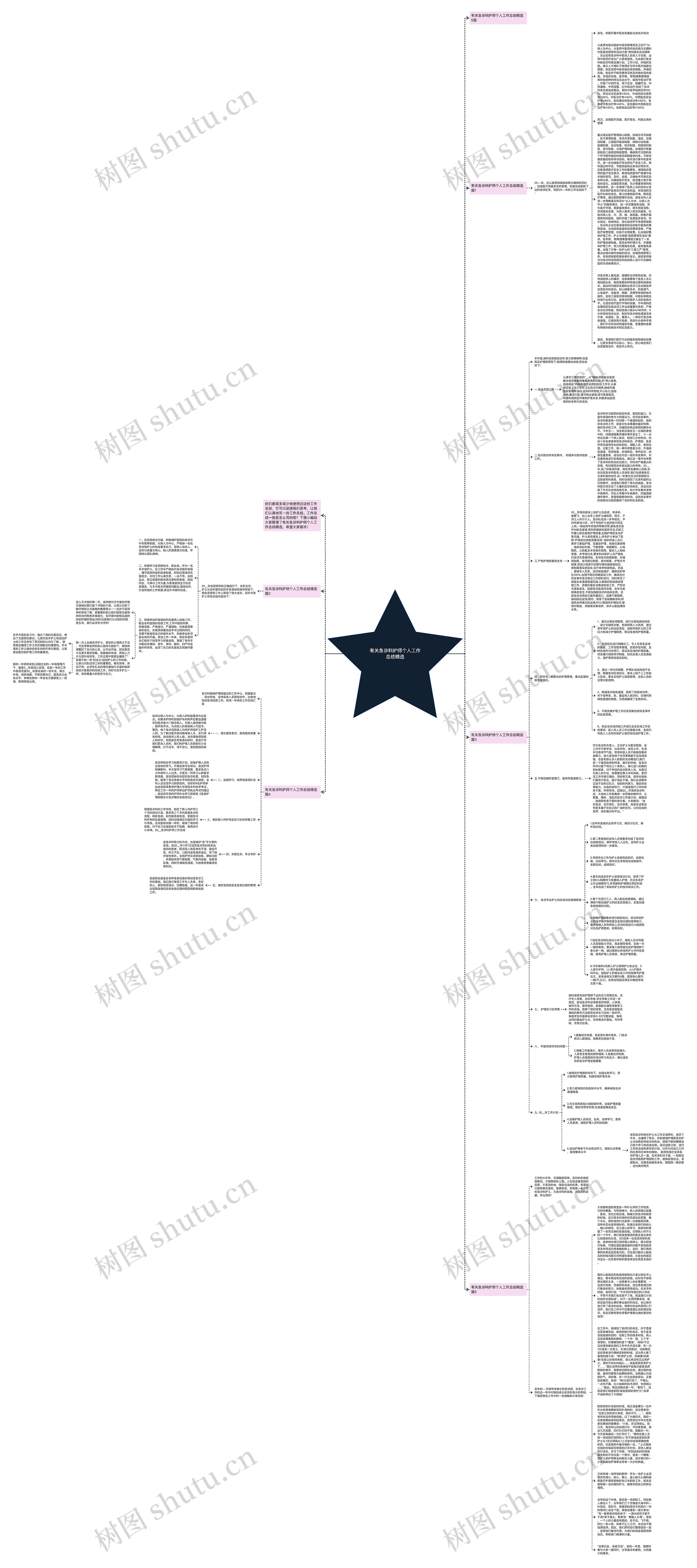 有关急诊科护师个人工作总结精选思维导图