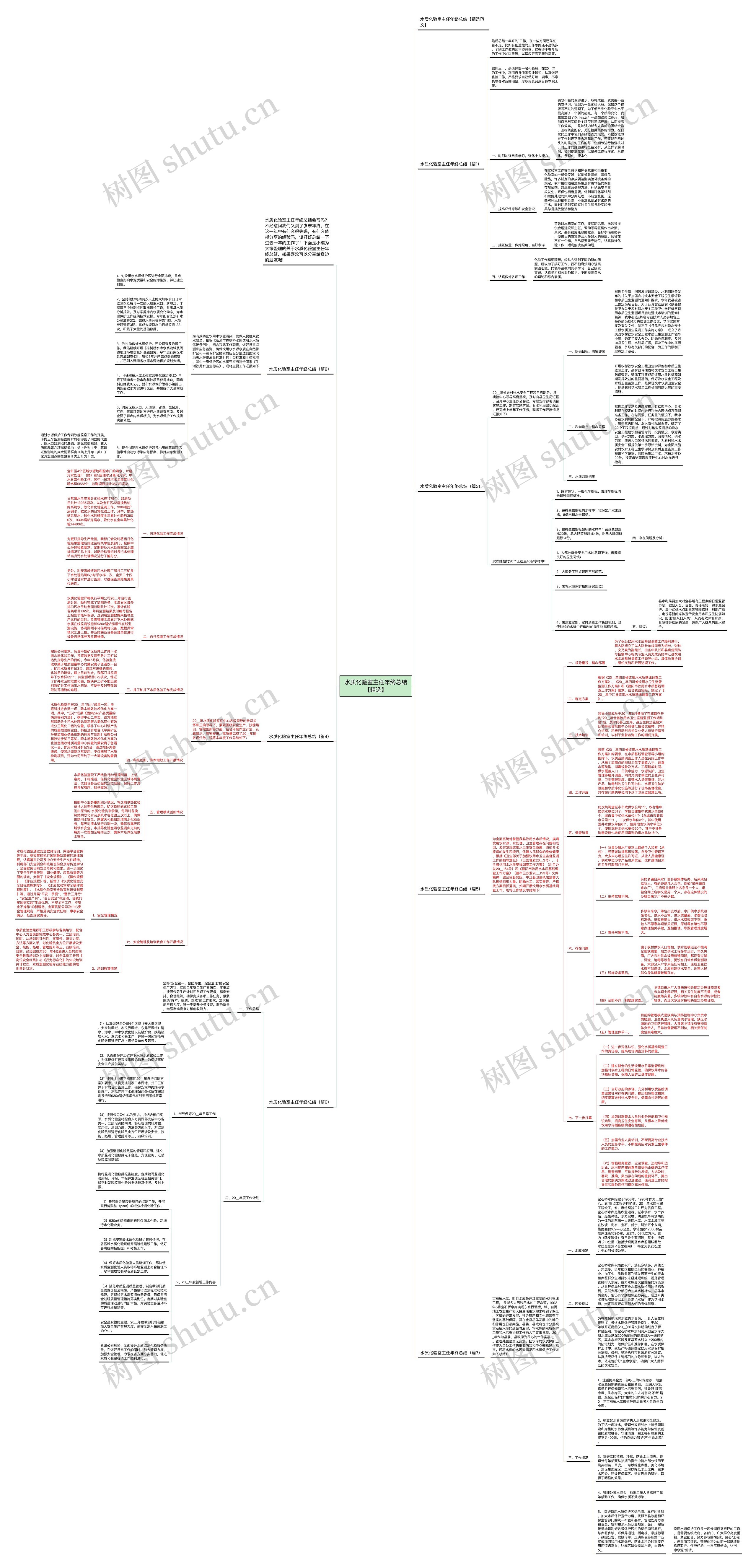 水质化验室主任年终总结【精选】思维导图