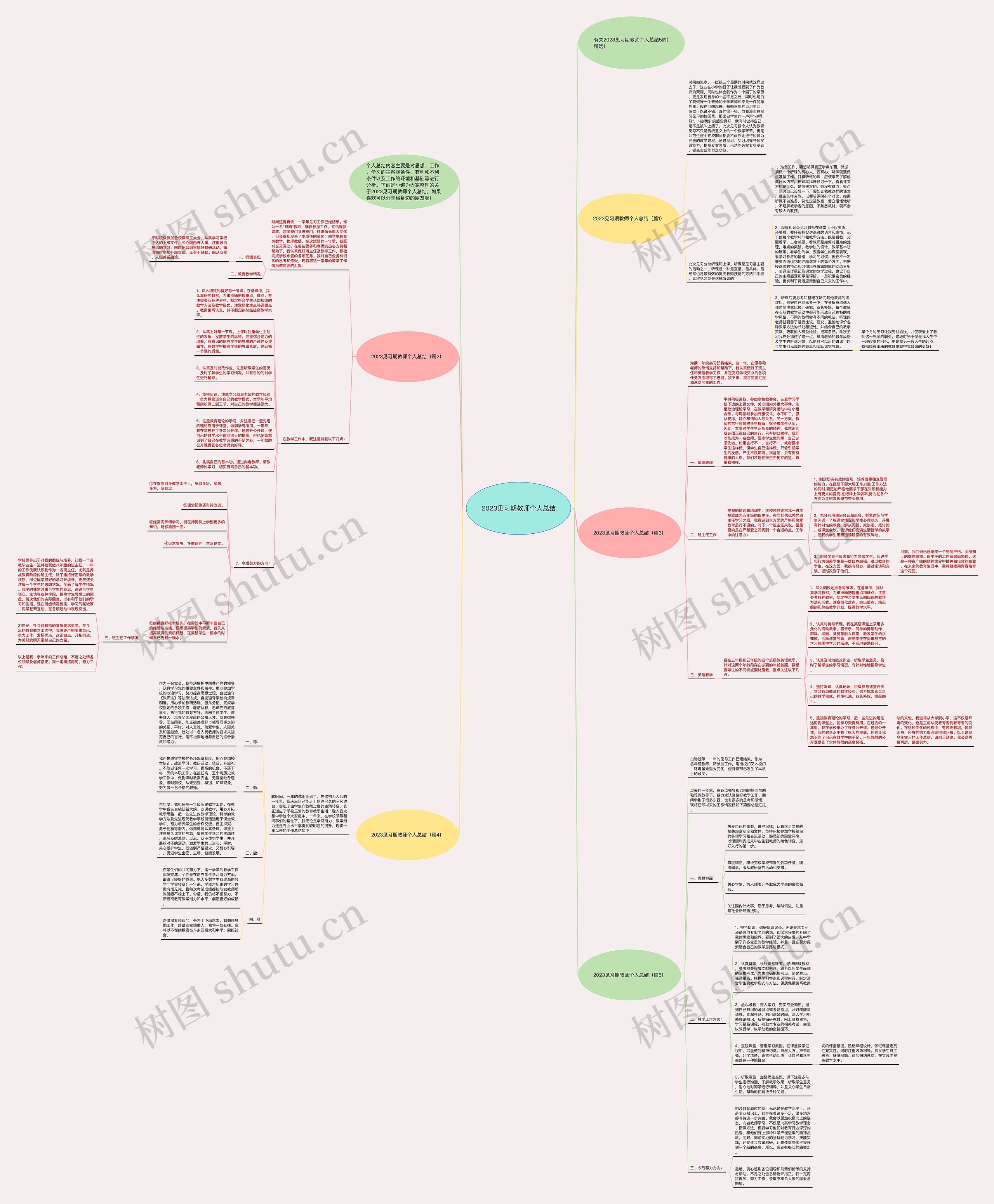 2023见习期教师个人总结思维导图