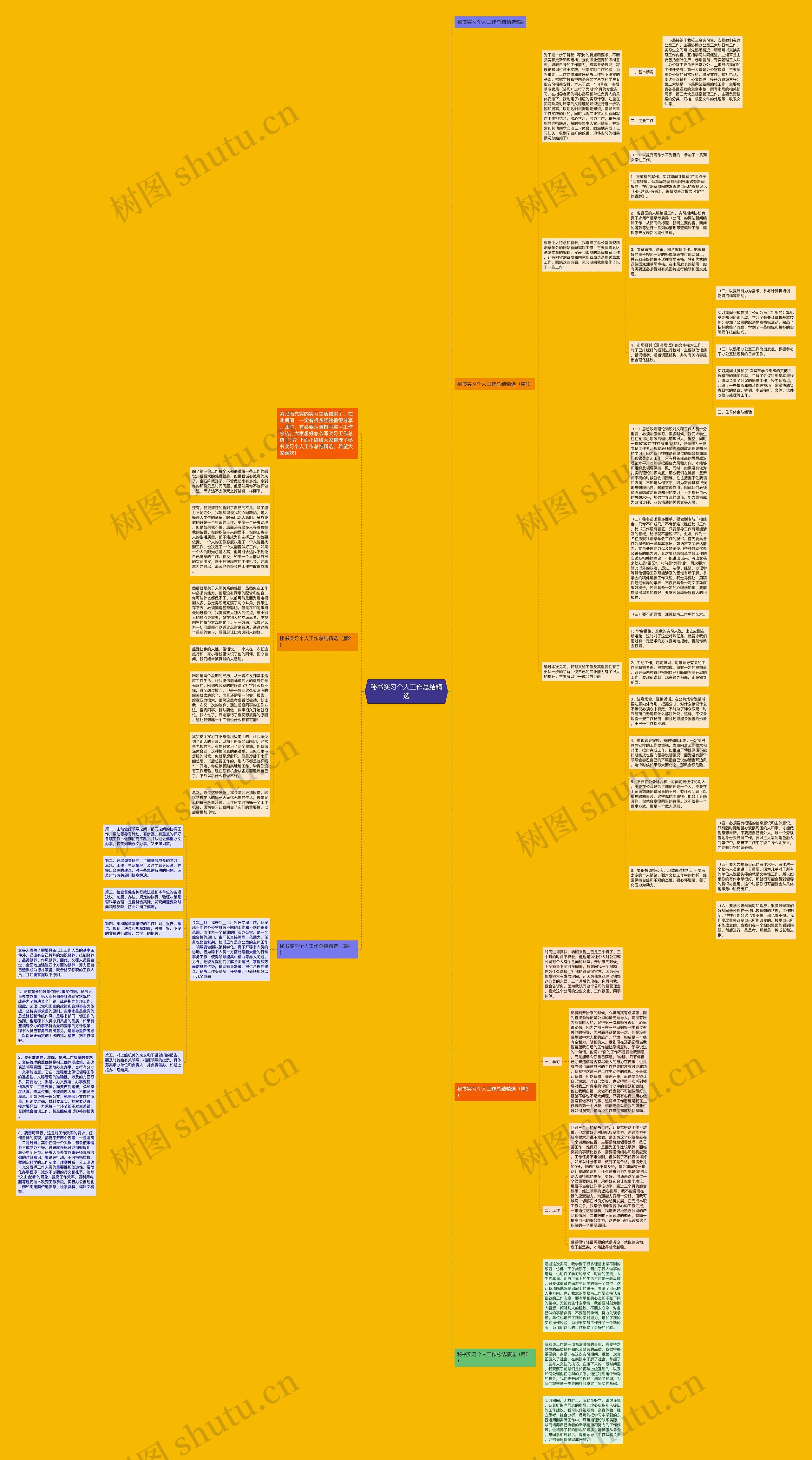 秘书实习个人工作总结精选思维导图