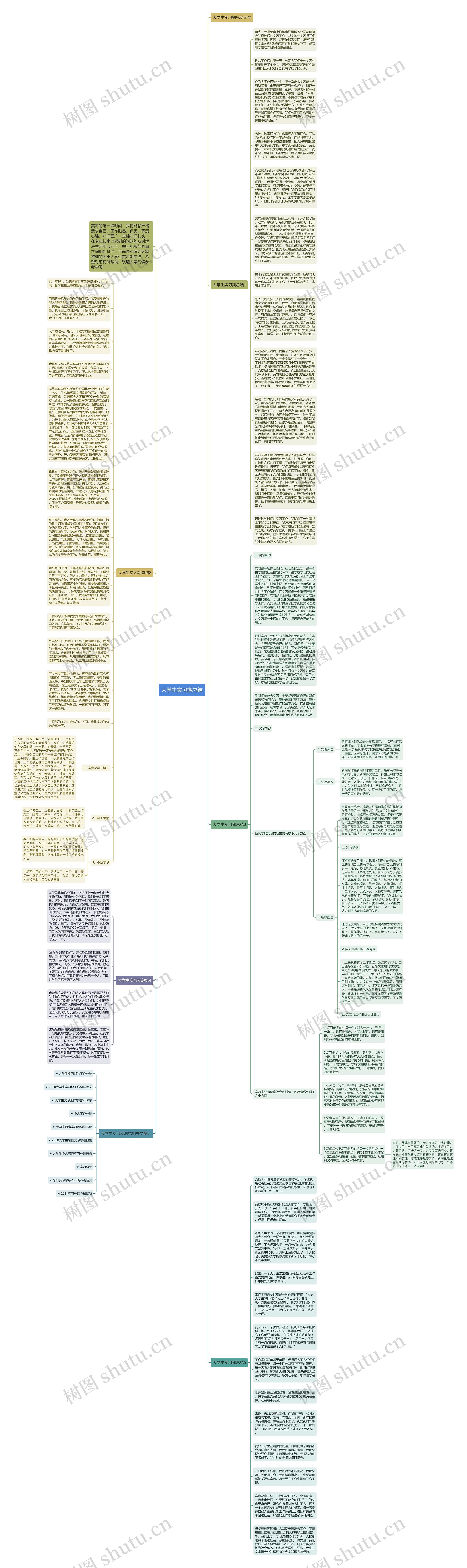 大学生实习期总结思维导图
