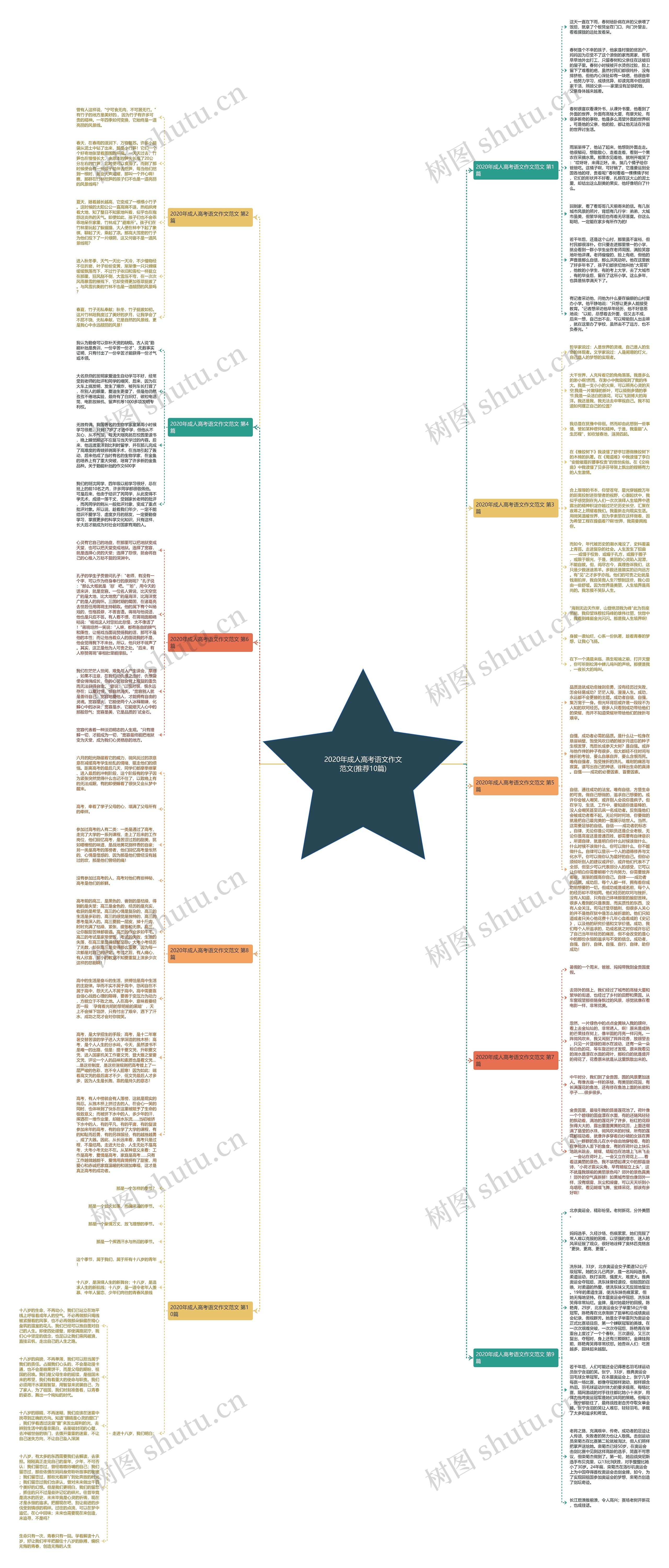 2020年成人高考语文作文范文(推荐10篇)思维导图