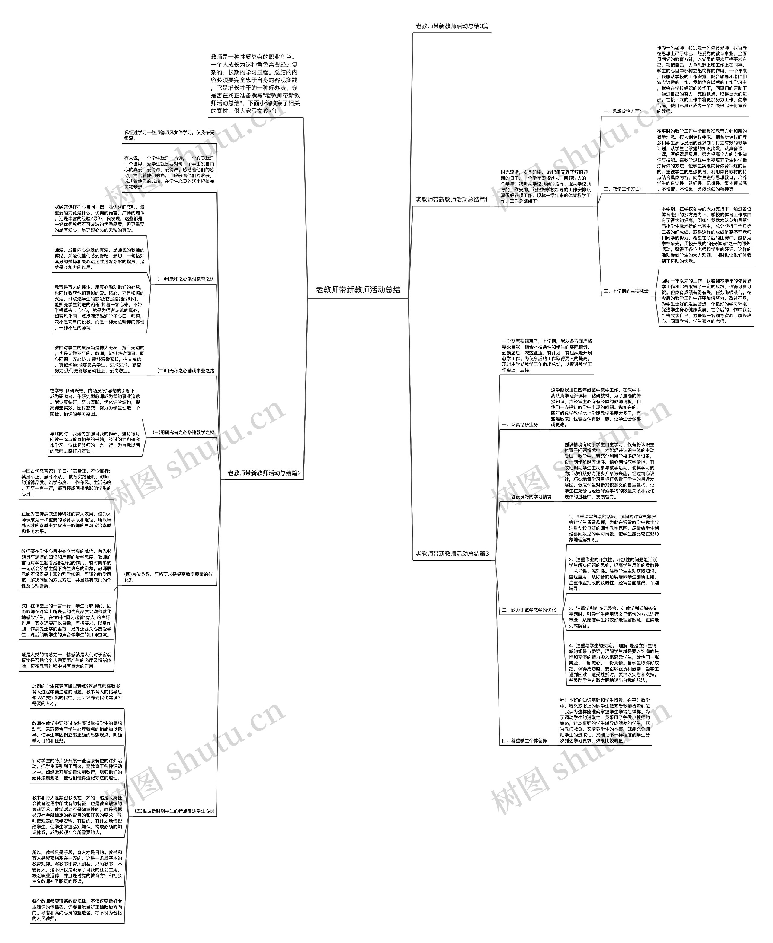 老教师带新教师活动总结