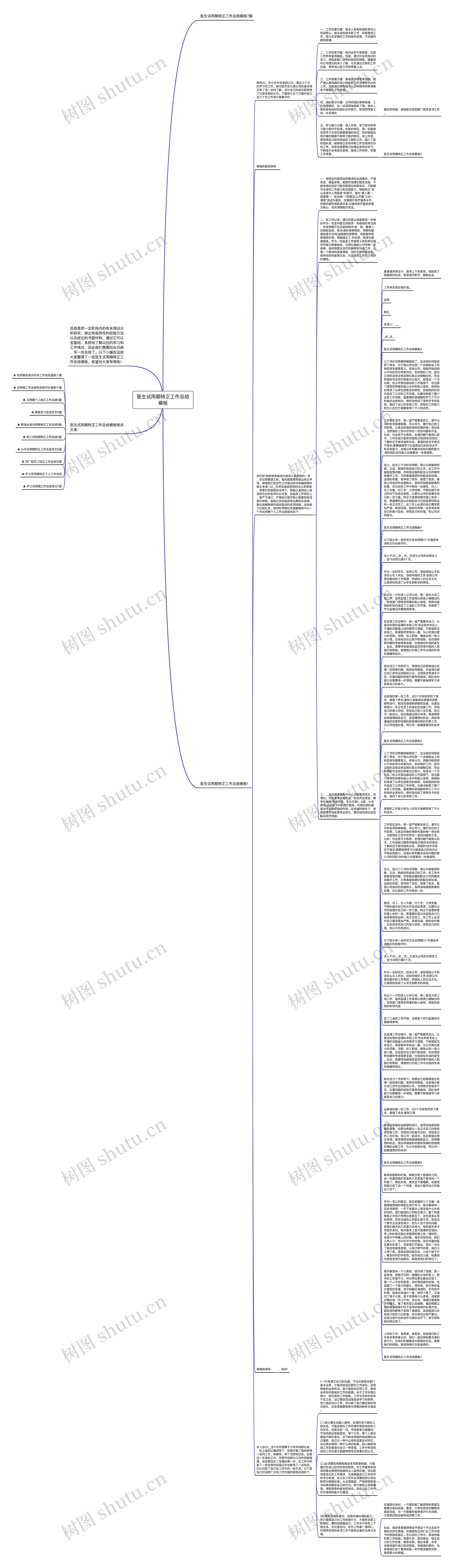 医生试用期转正工作总结思维导图