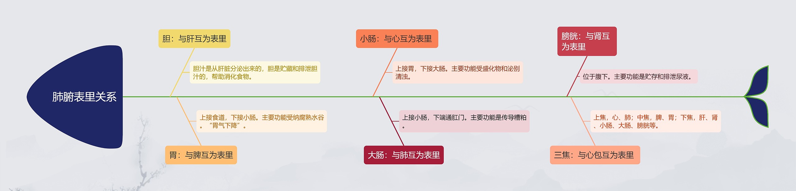 肺腑表里关系