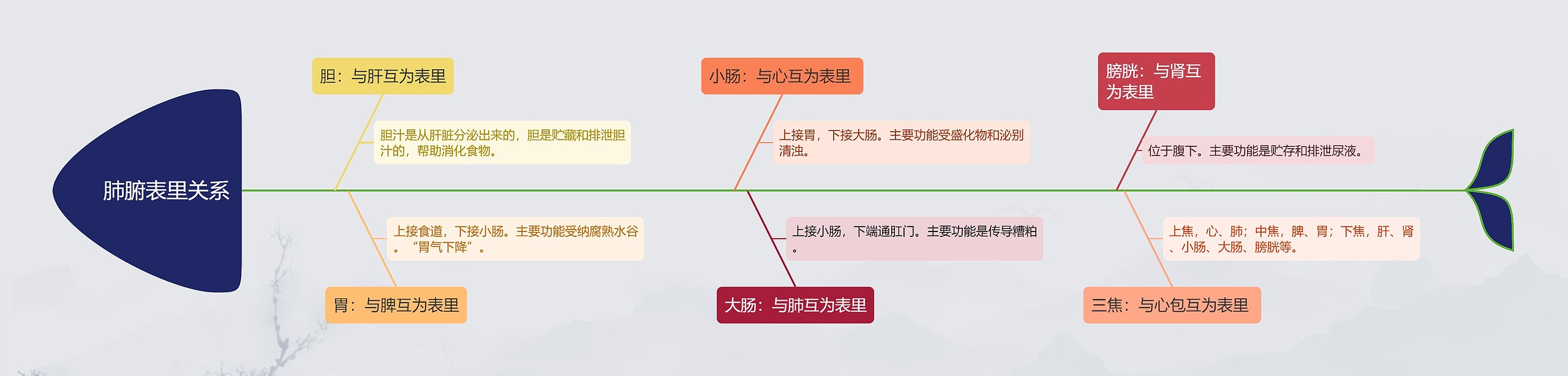 肺腑表里关系思维导图