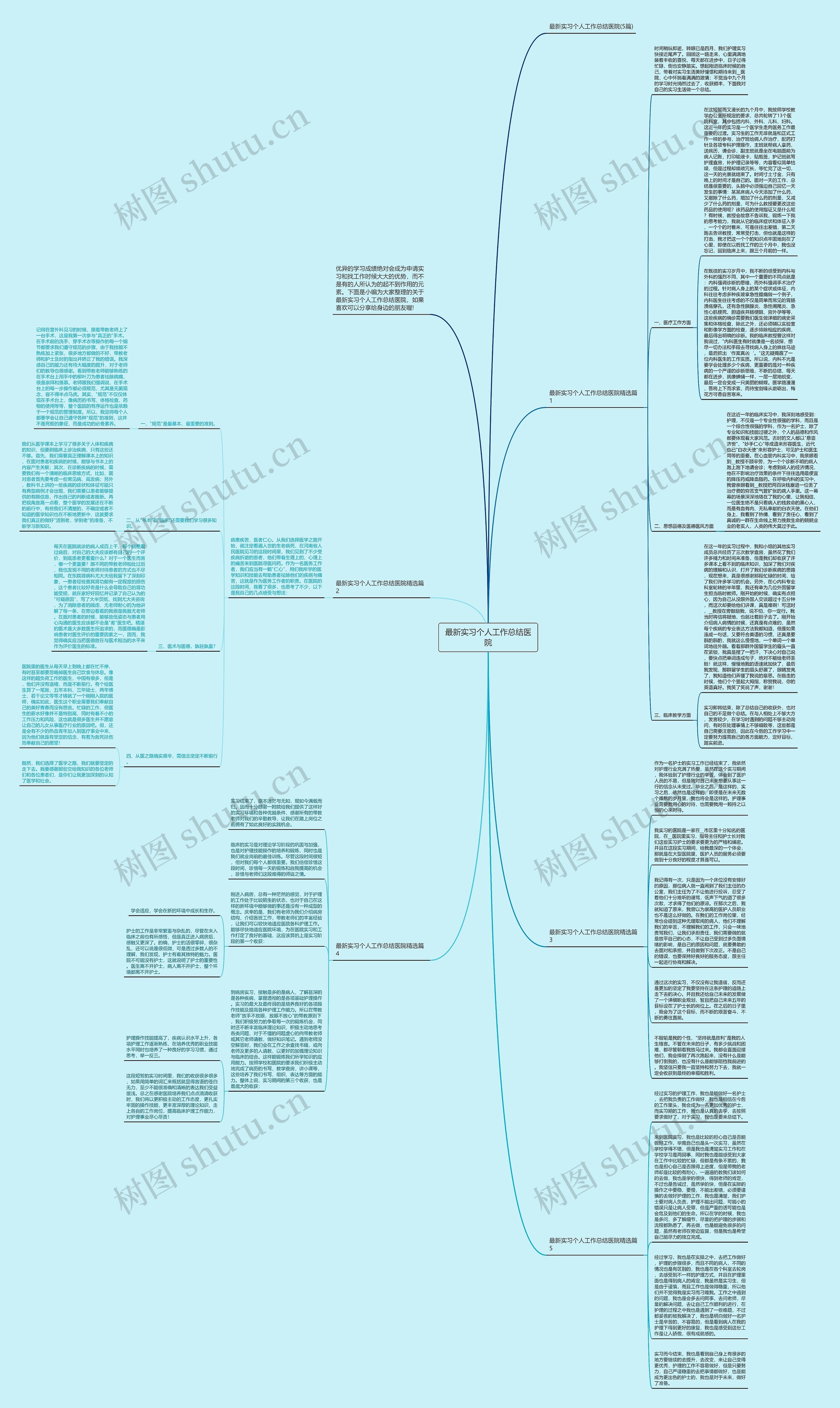 最新实习个人工作总结医院思维导图