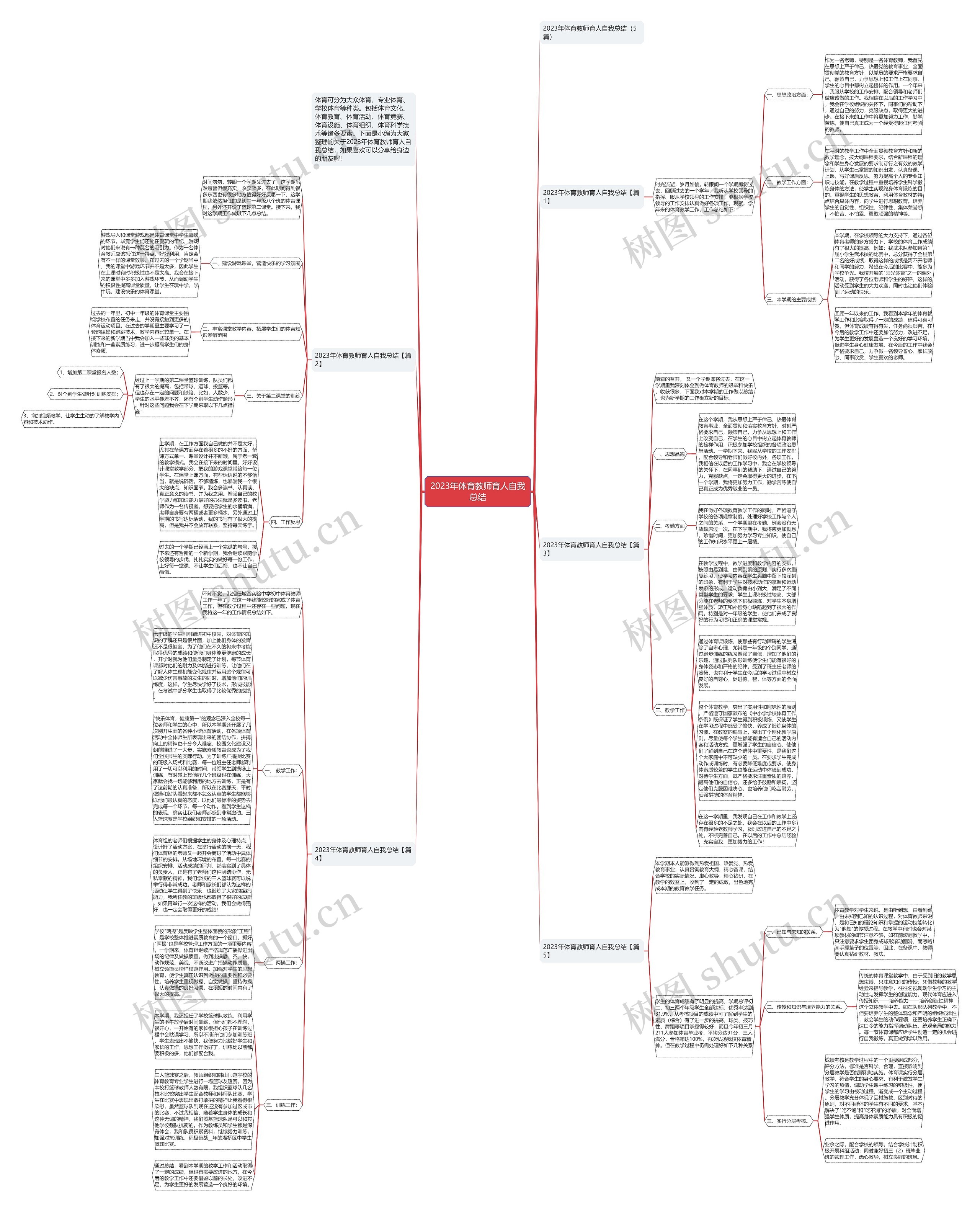 2023年体育教师育人自我总结思维导图