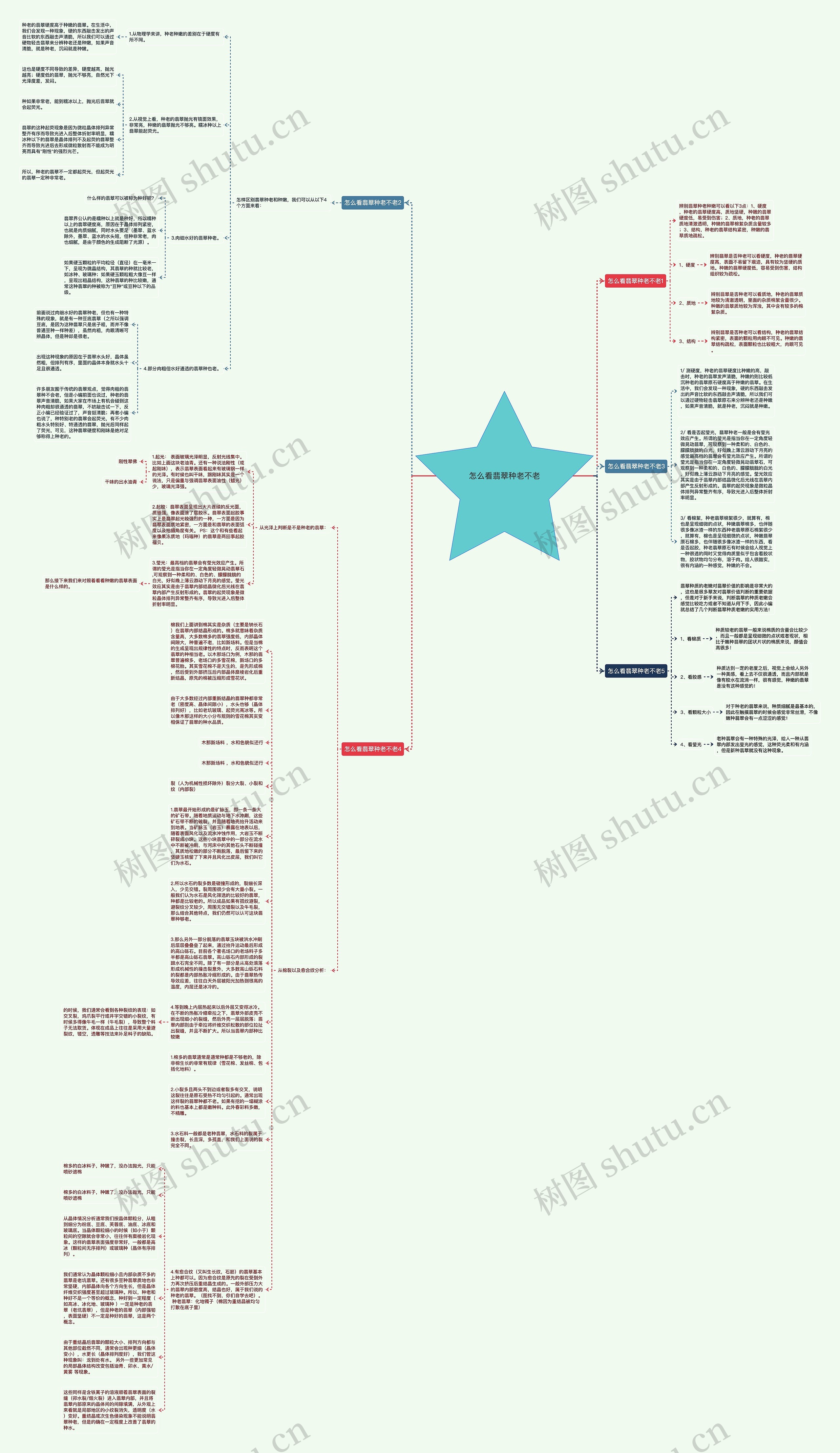 怎么看翡翠种老不老思维导图
