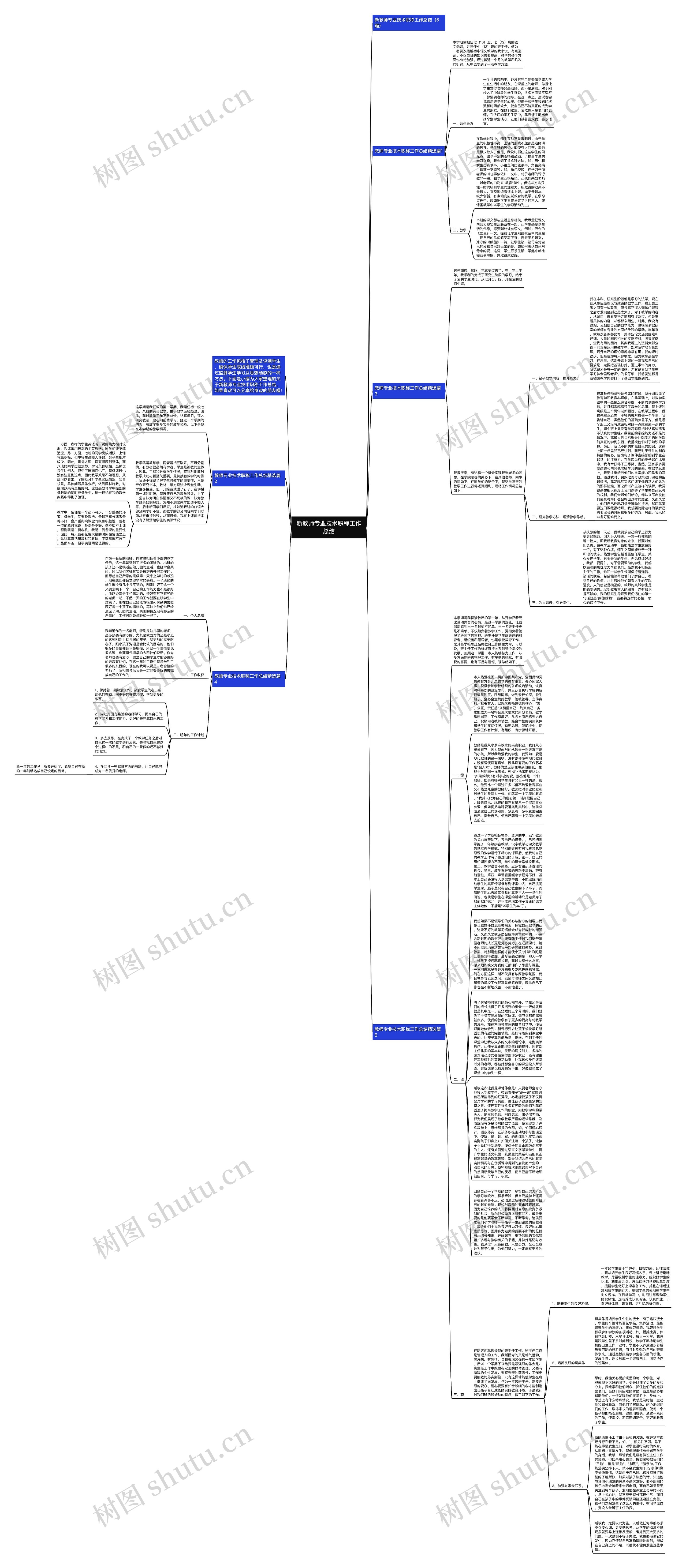 新教师专业技术职称工作总结