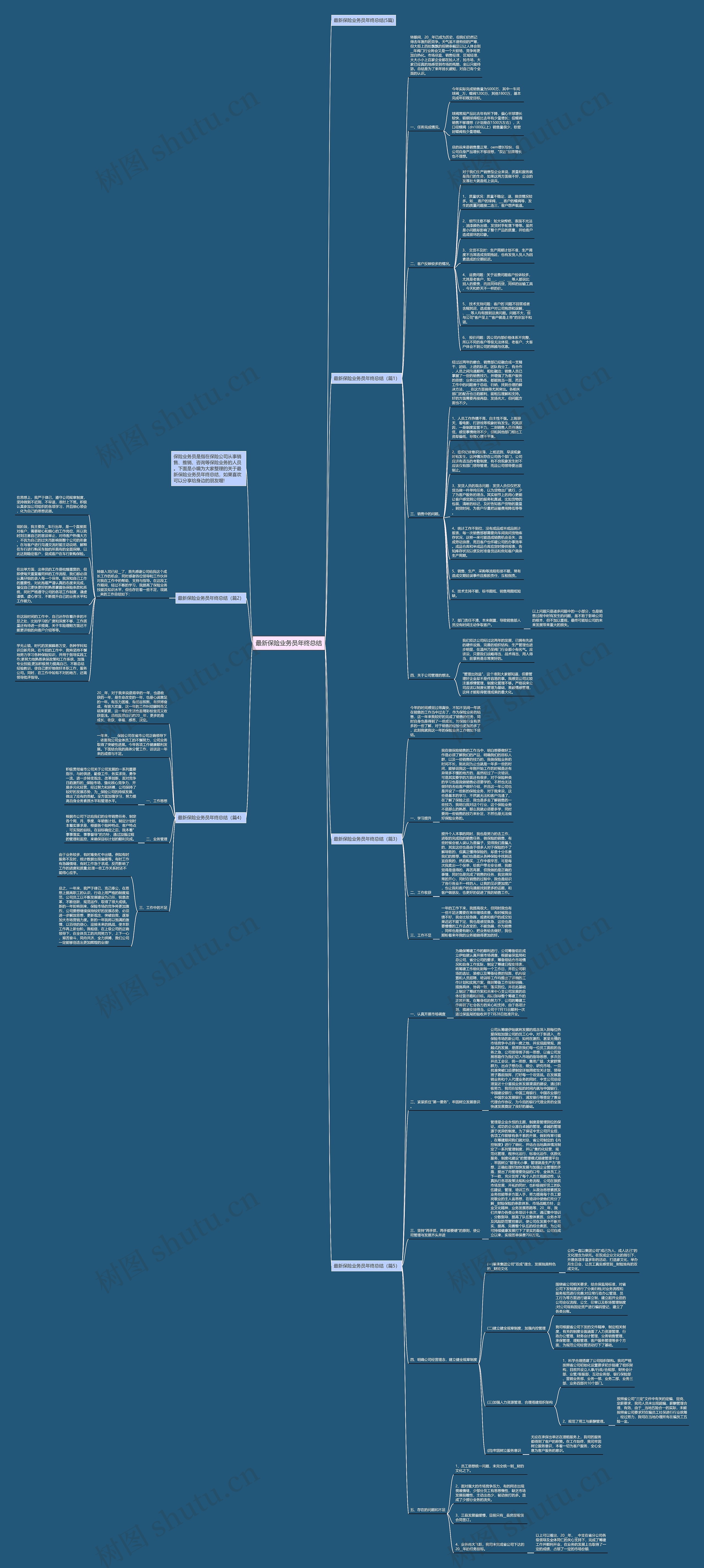 最新保险业务员年终总结思维导图