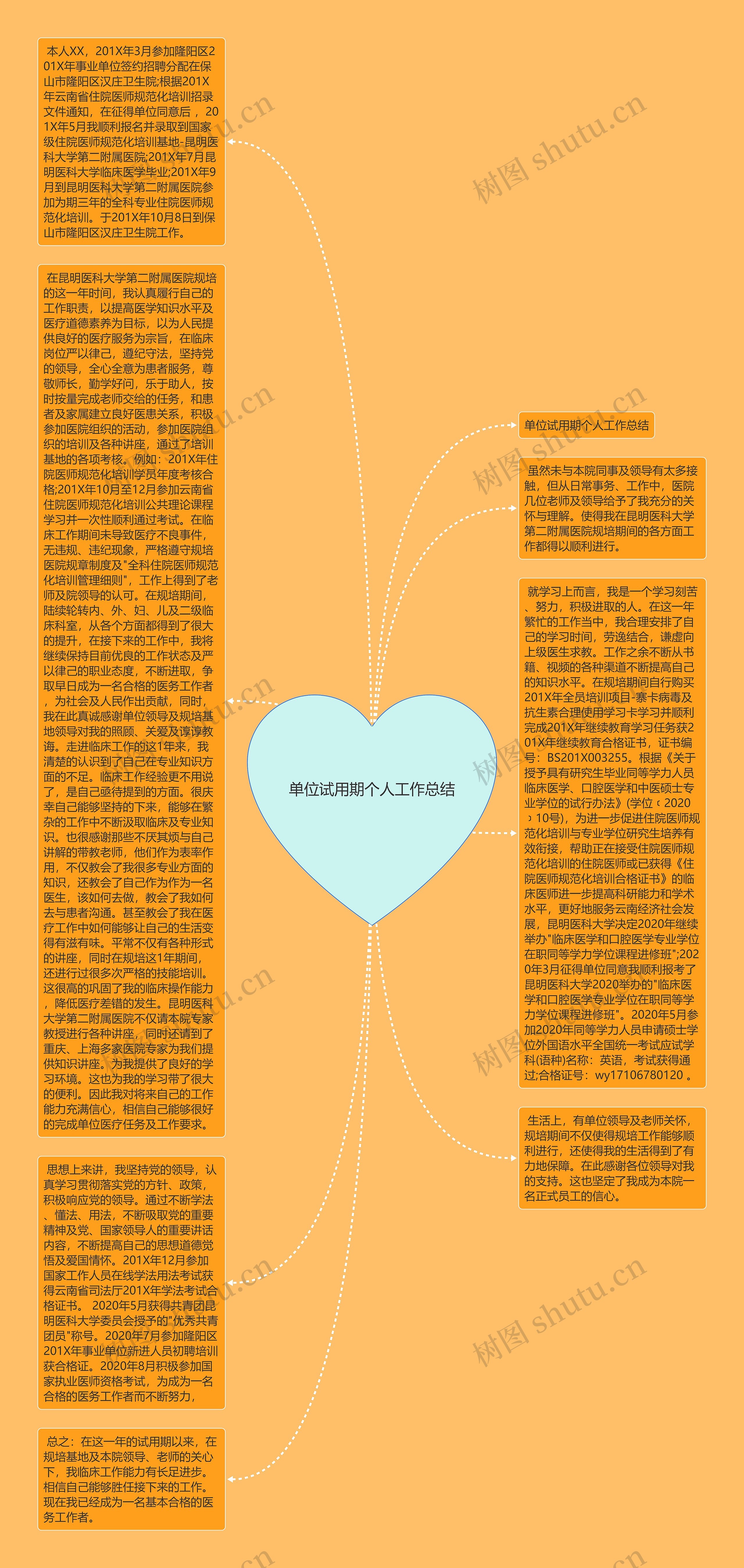 单位试用期个人工作总结