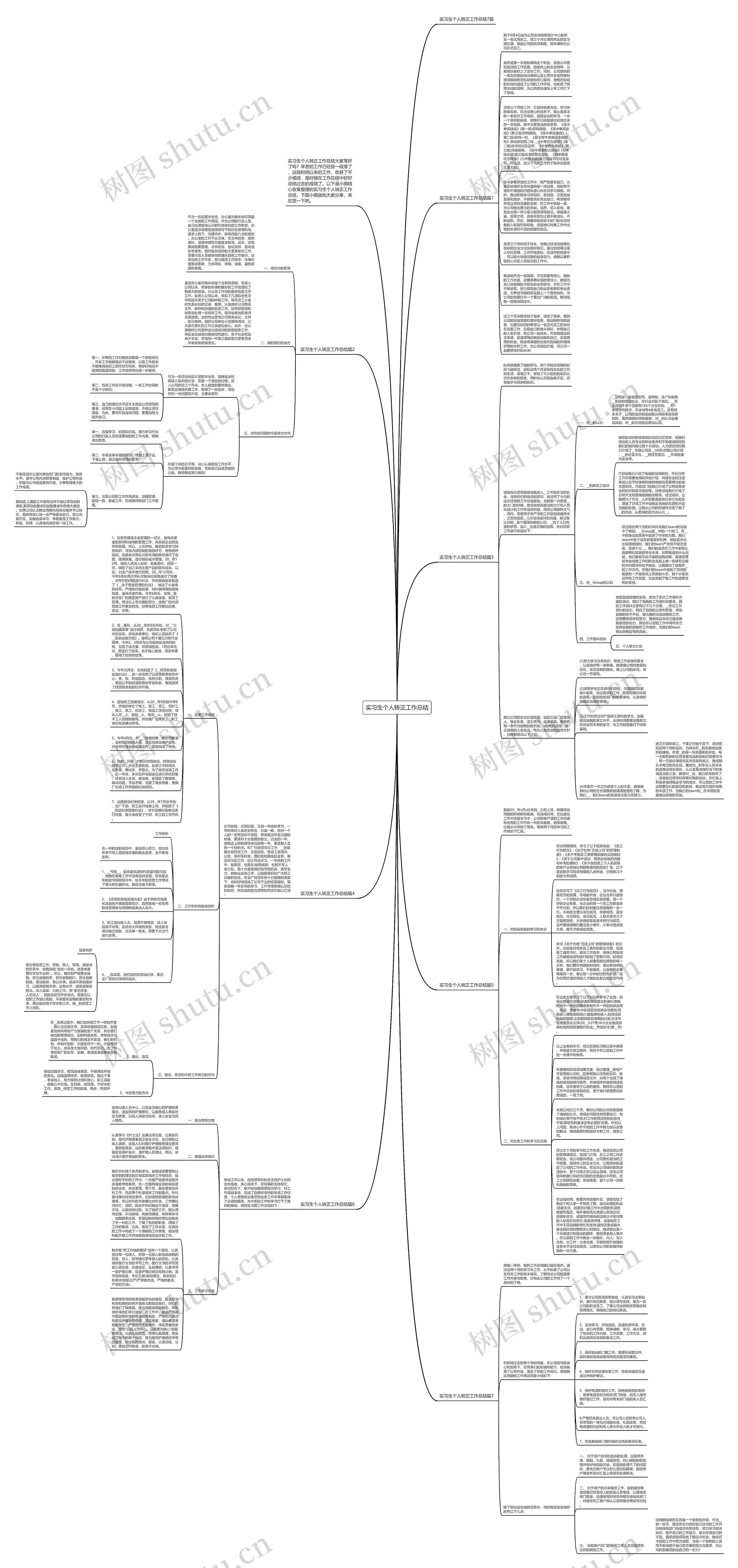 实习生个人转正工作总结思维导图