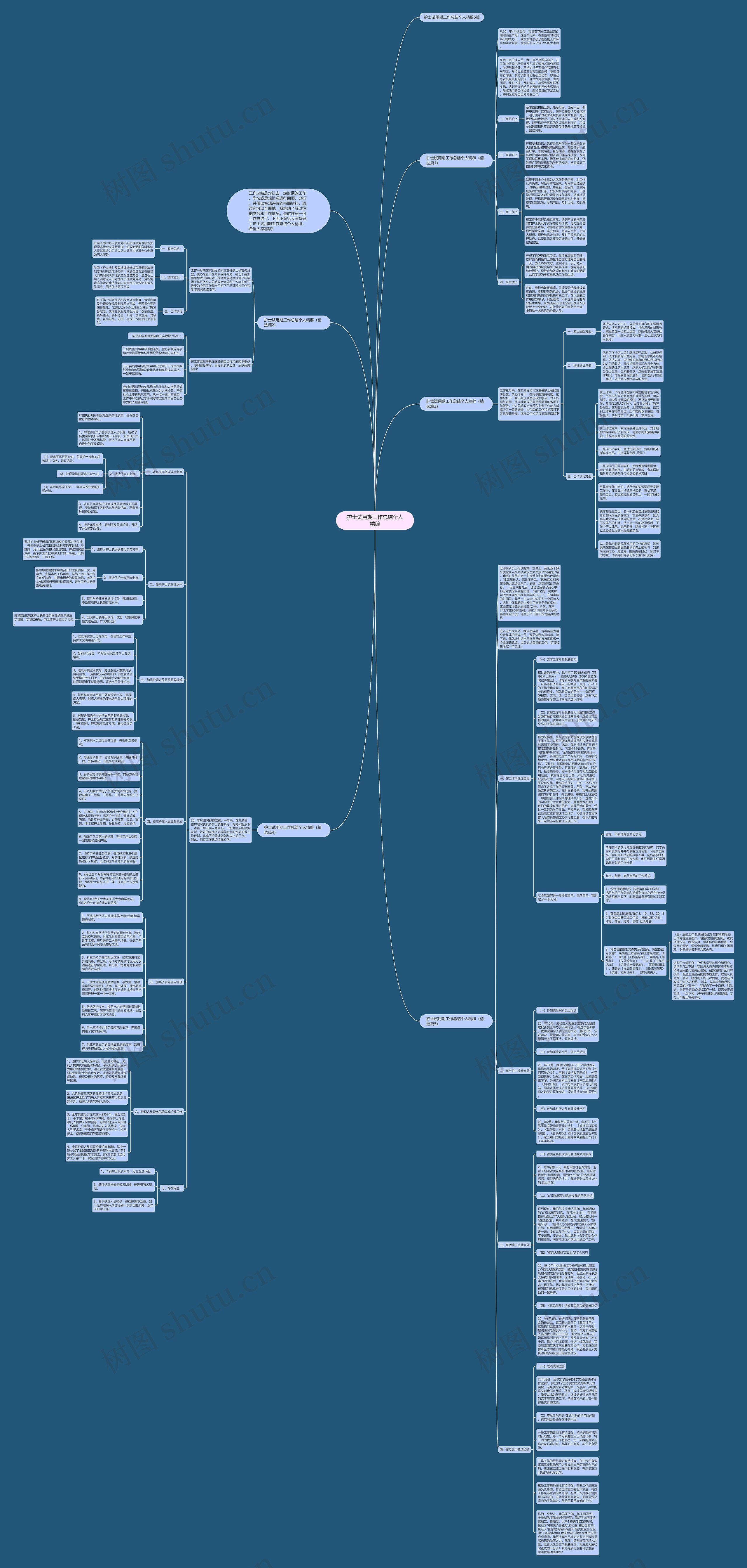 护士试用期工作总结个人精辟思维导图