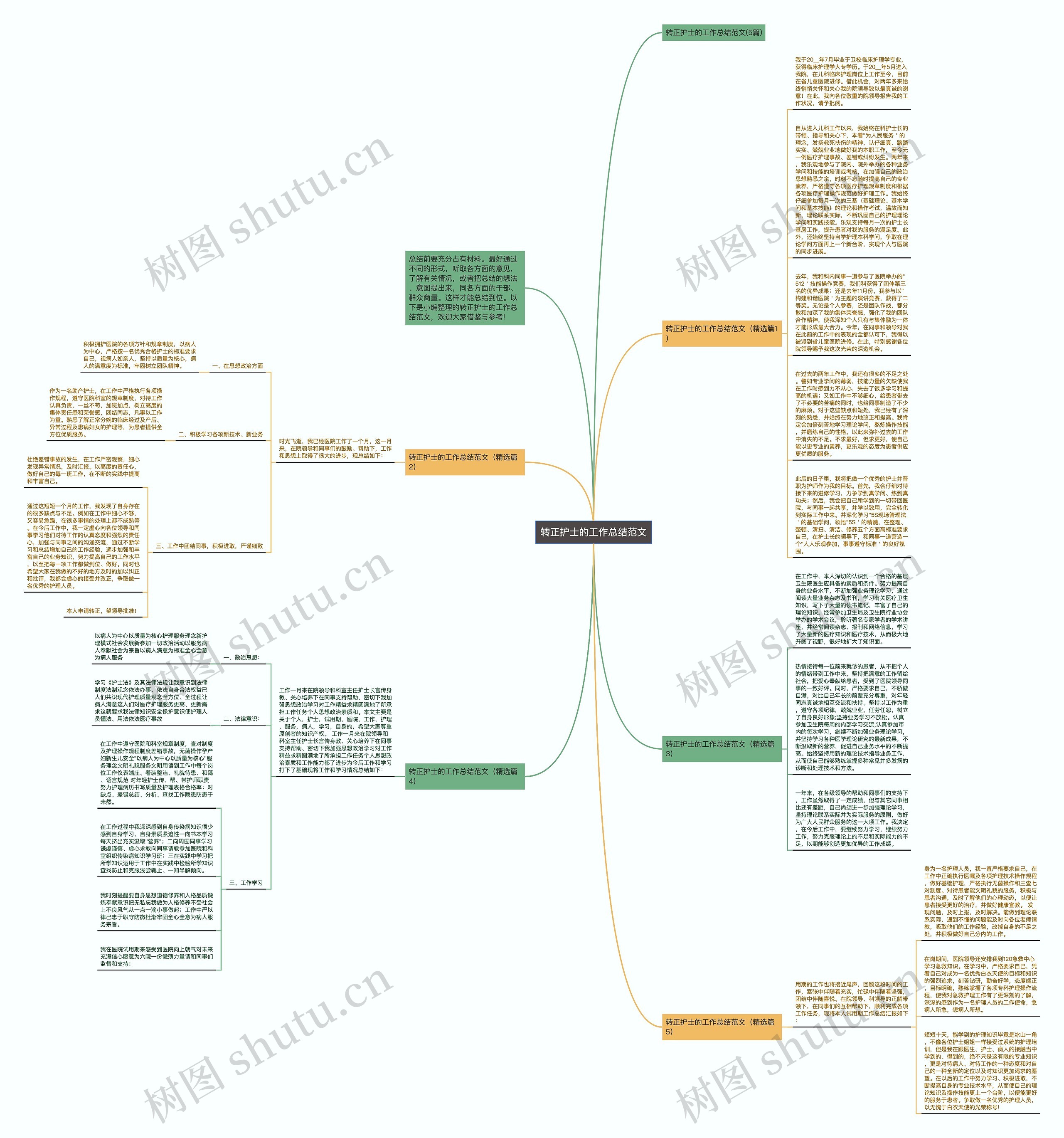 转正护士的工作总结范文思维导图