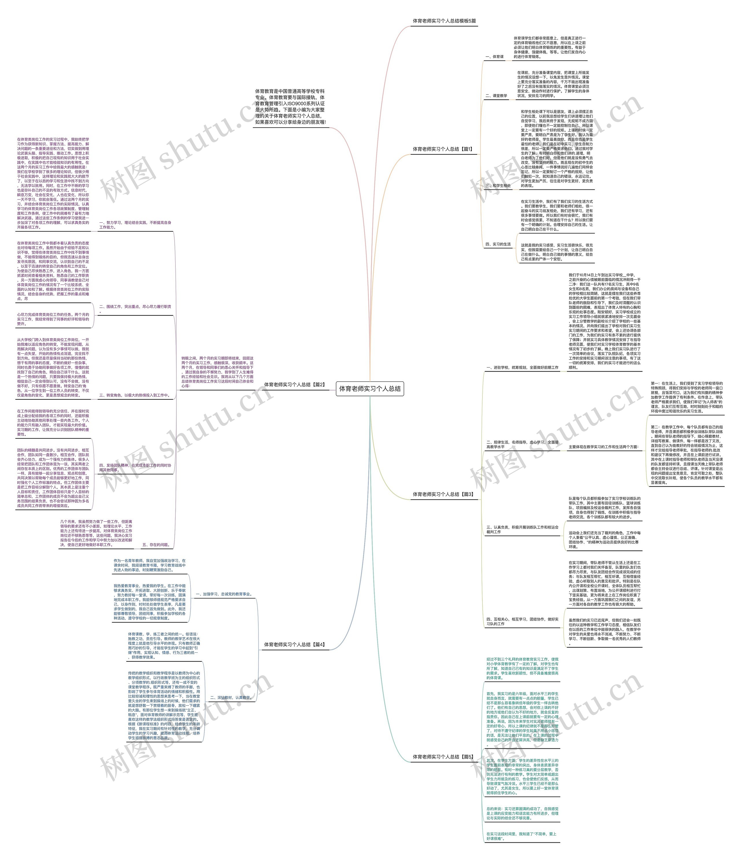 体育老师实习个人总结思维导图