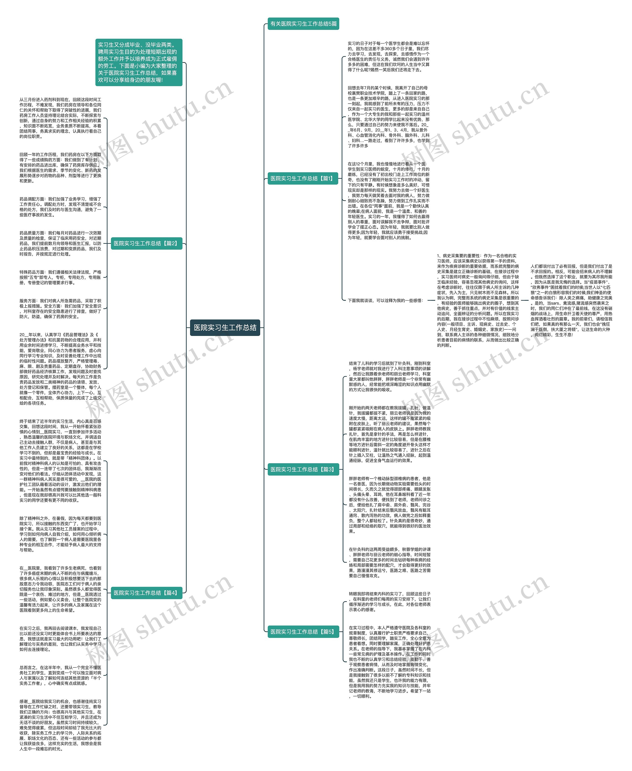 医院实习生工作总结思维导图