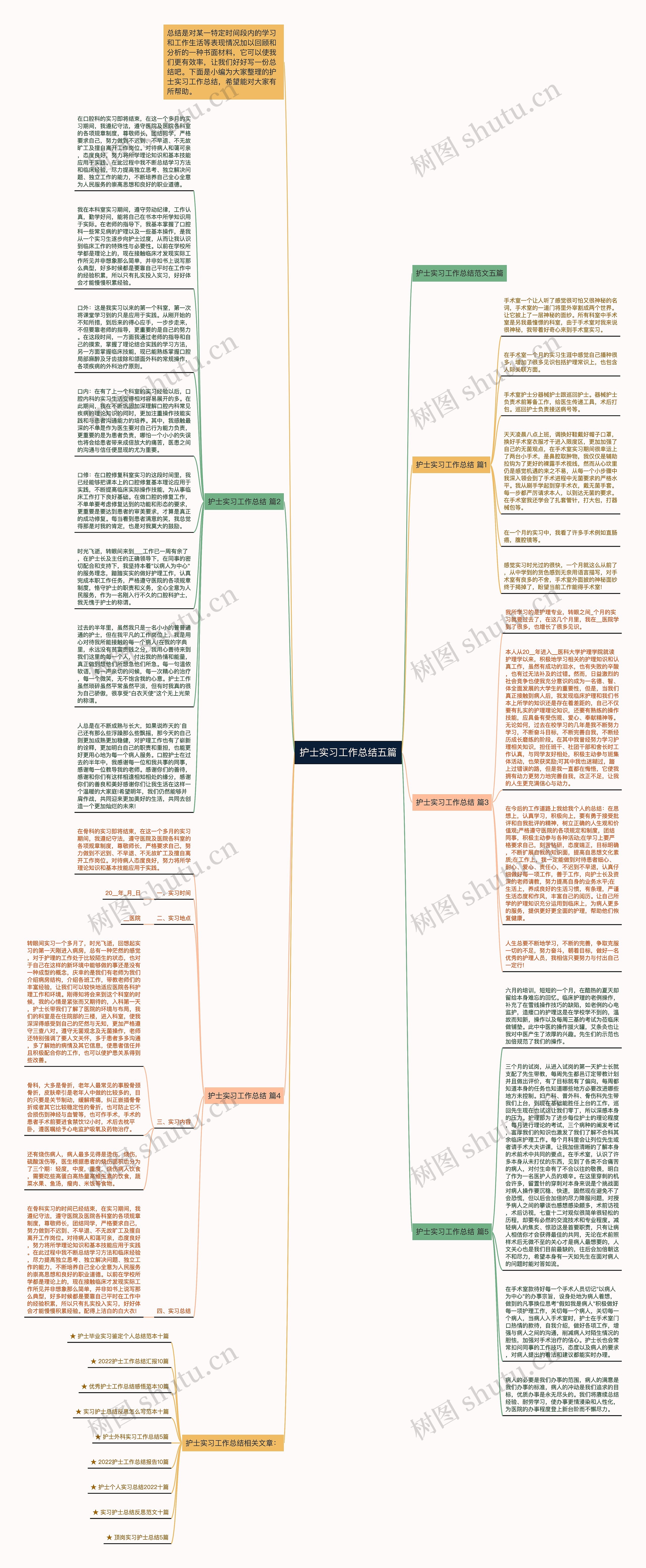 护士实习工作总结五篇
