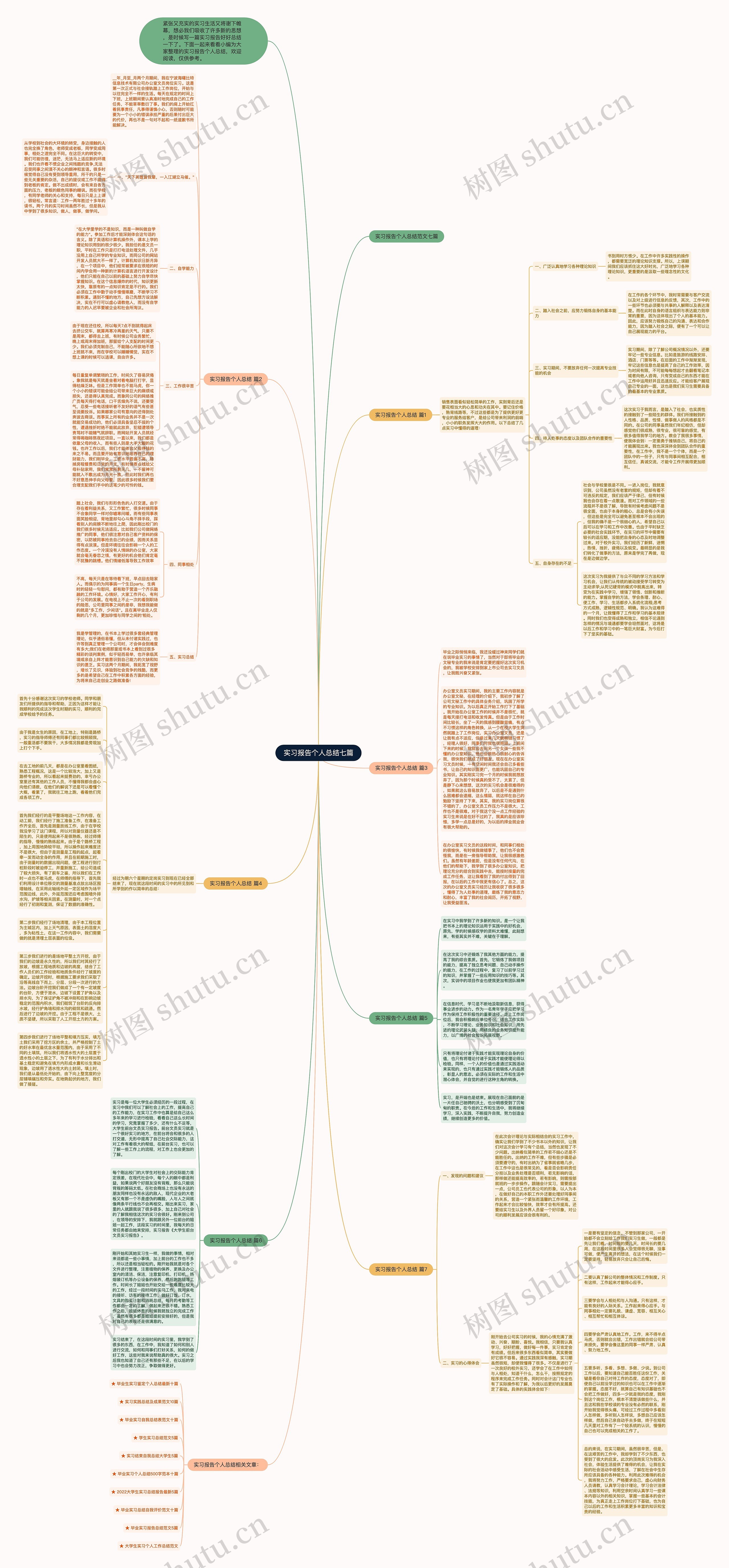实习报告个人总结七篇