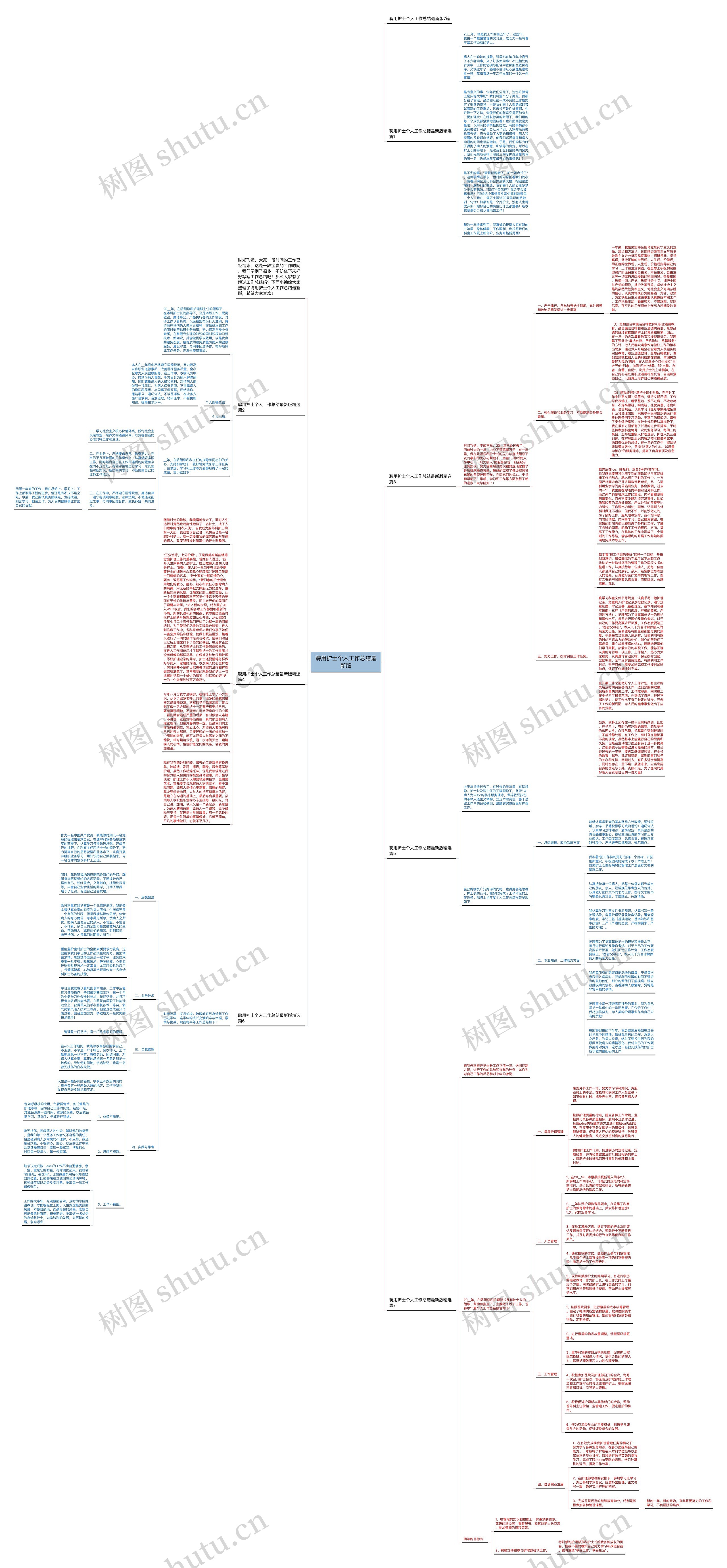 聘用护士个人工作总结最新版思维导图