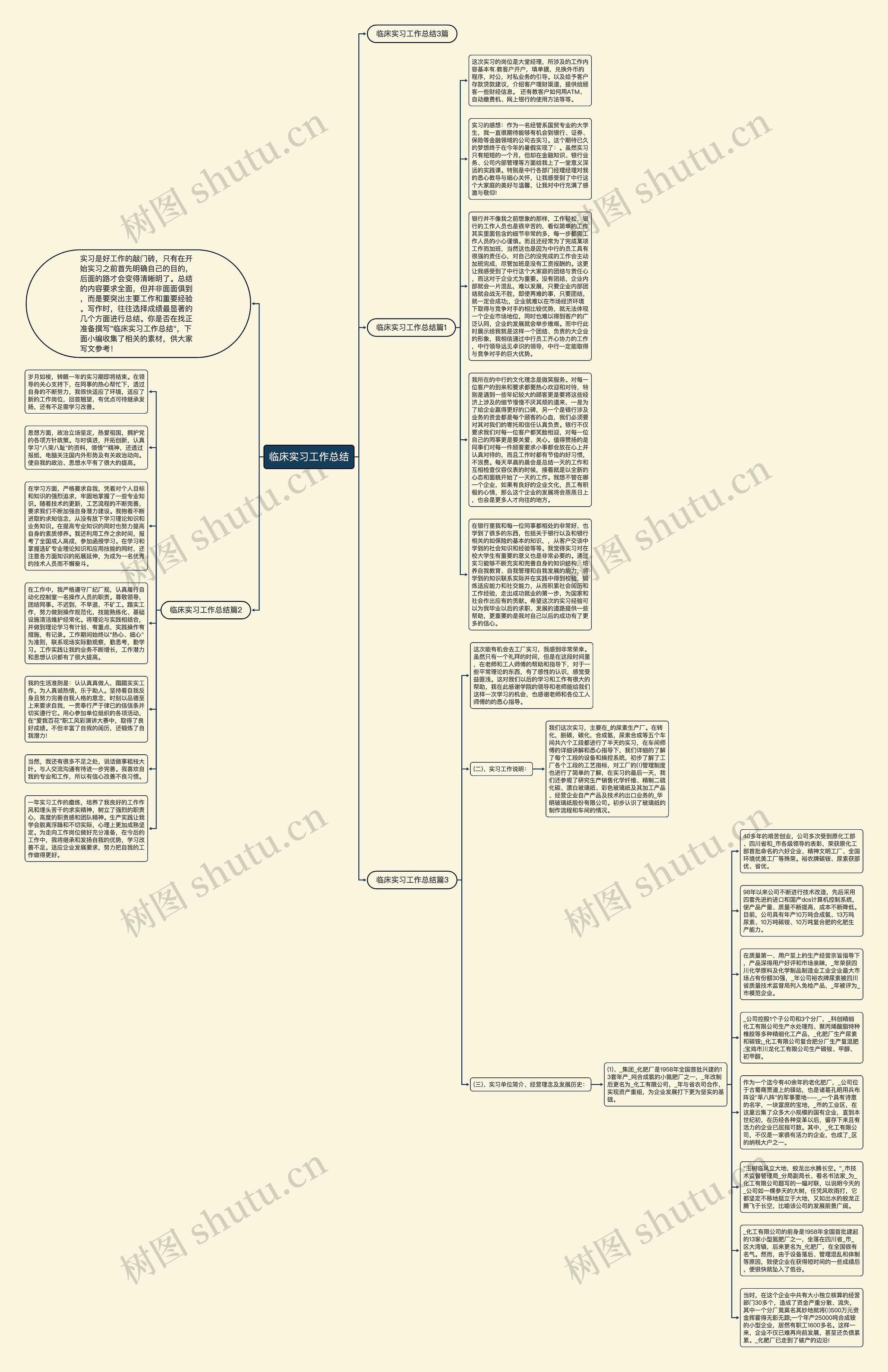 临床实习工作总结思维导图