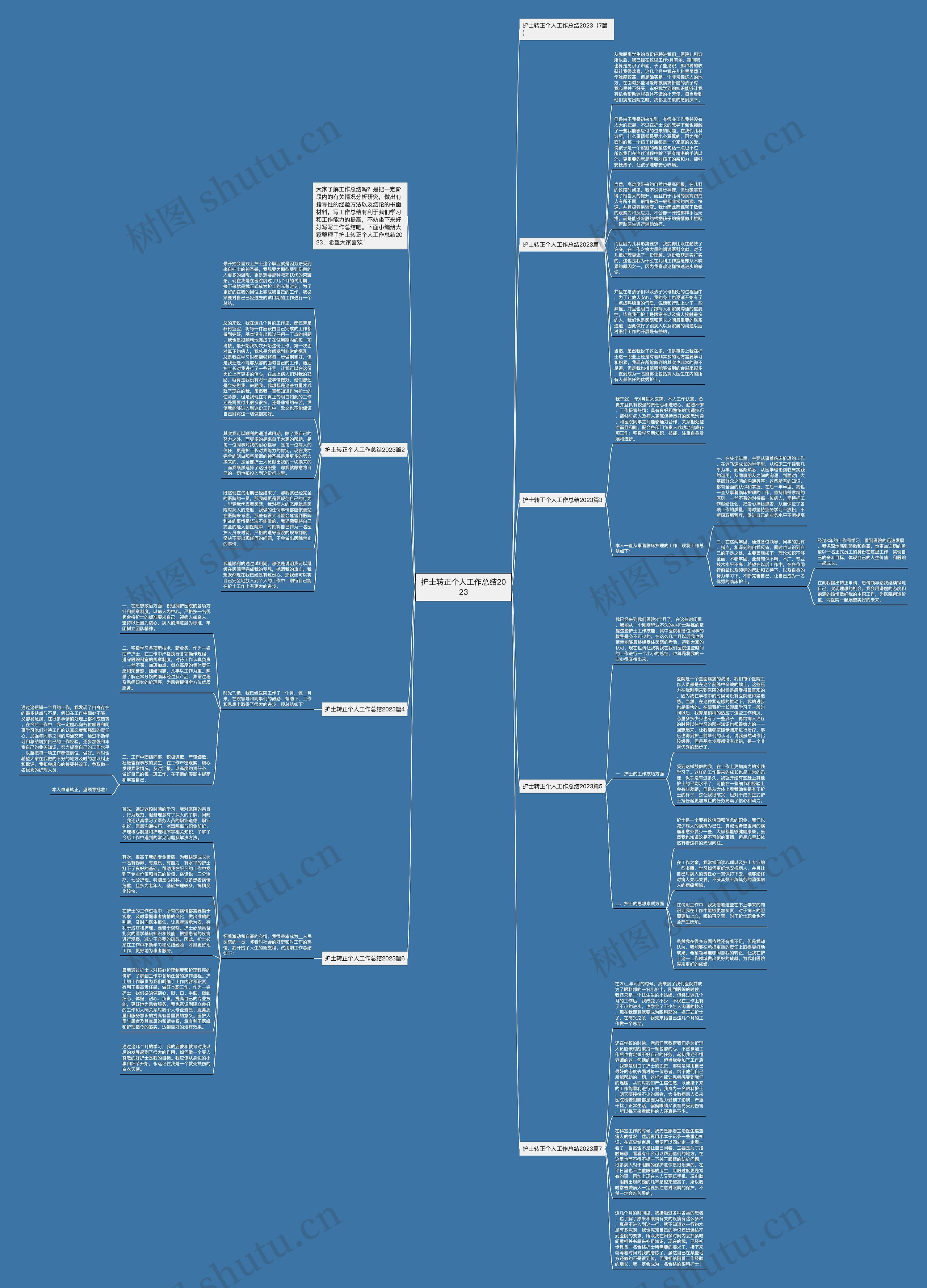 护士转正个人工作总结2023