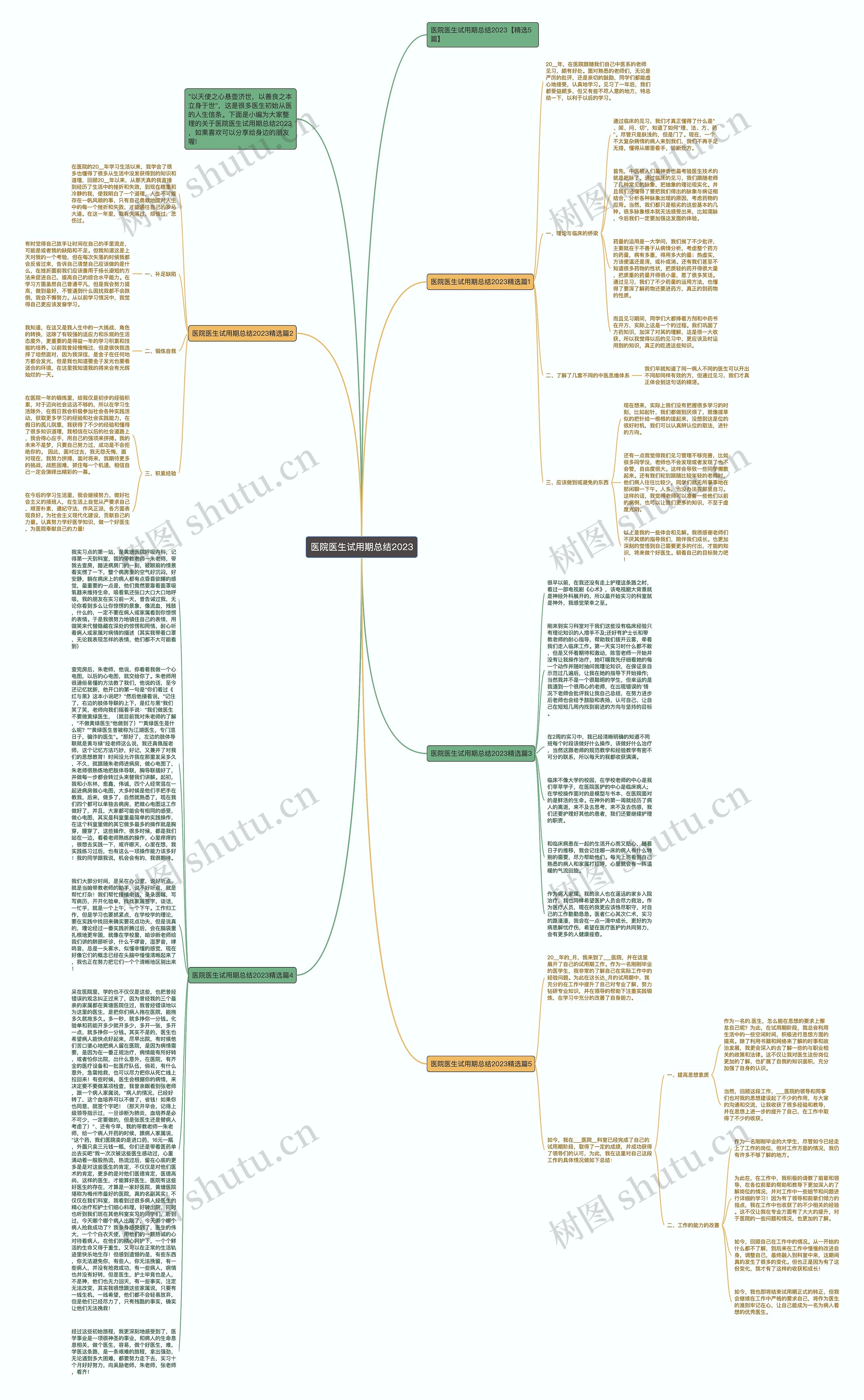 医院医生试用期总结2023思维导图
