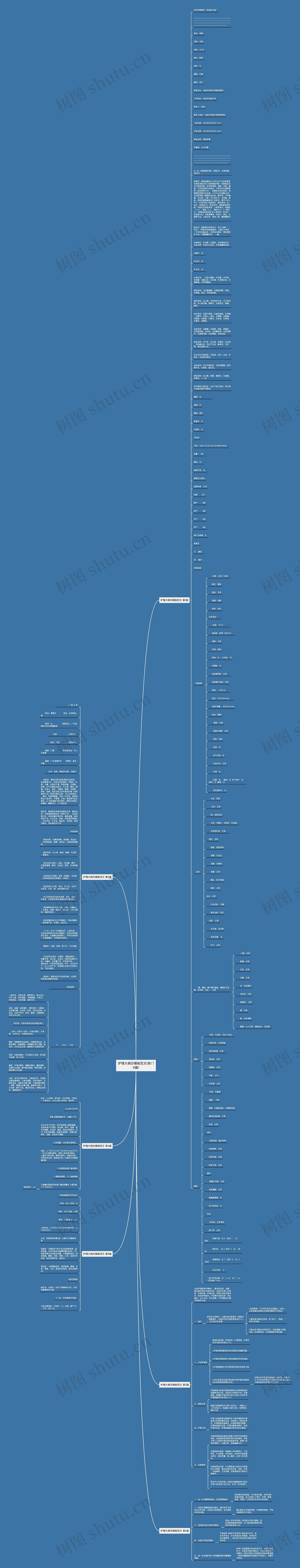 护理大病历范文(热门6篇)思维导图