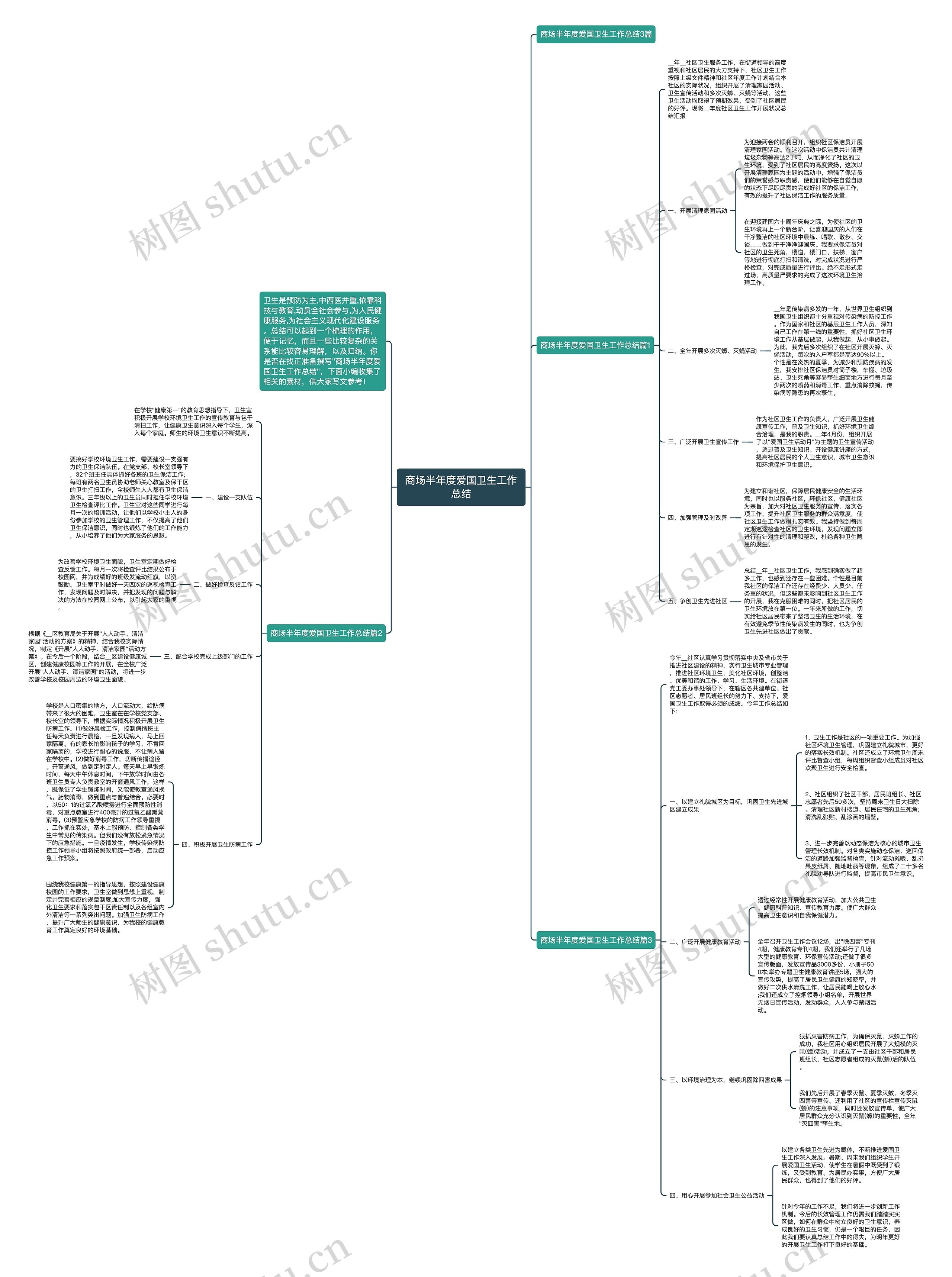 商场半年度爱国卫生工作总结思维导图