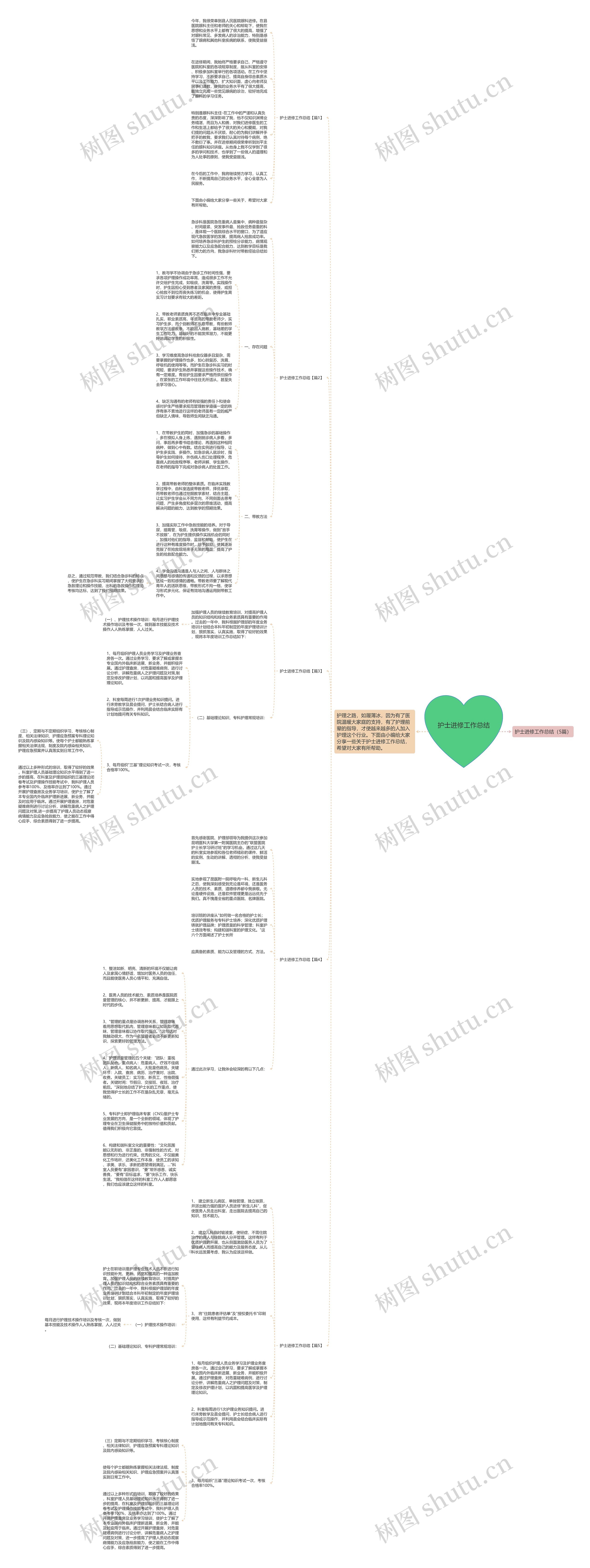 护士进修工作总结思维导图