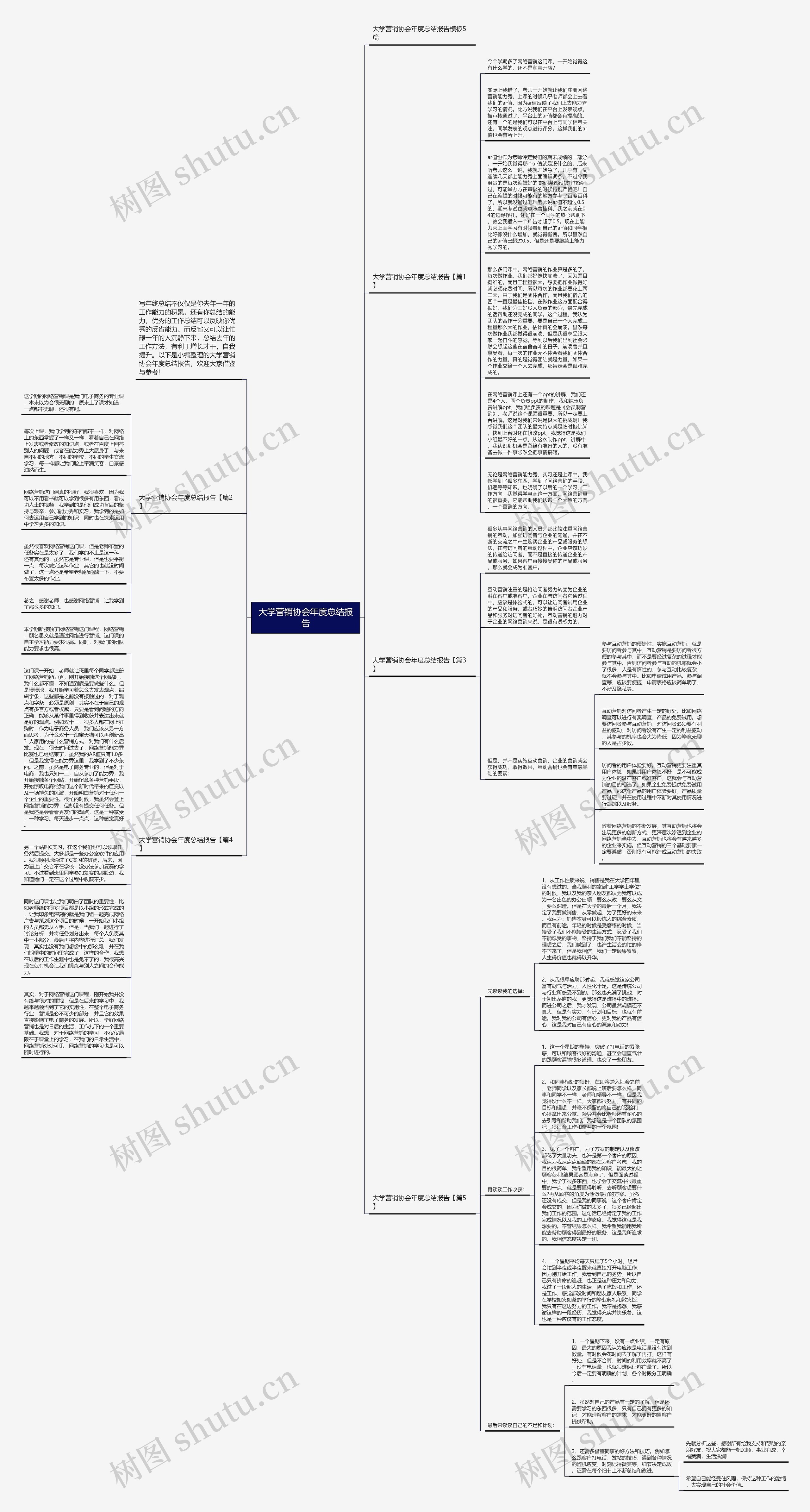 大学营销协会年度总结报告思维导图