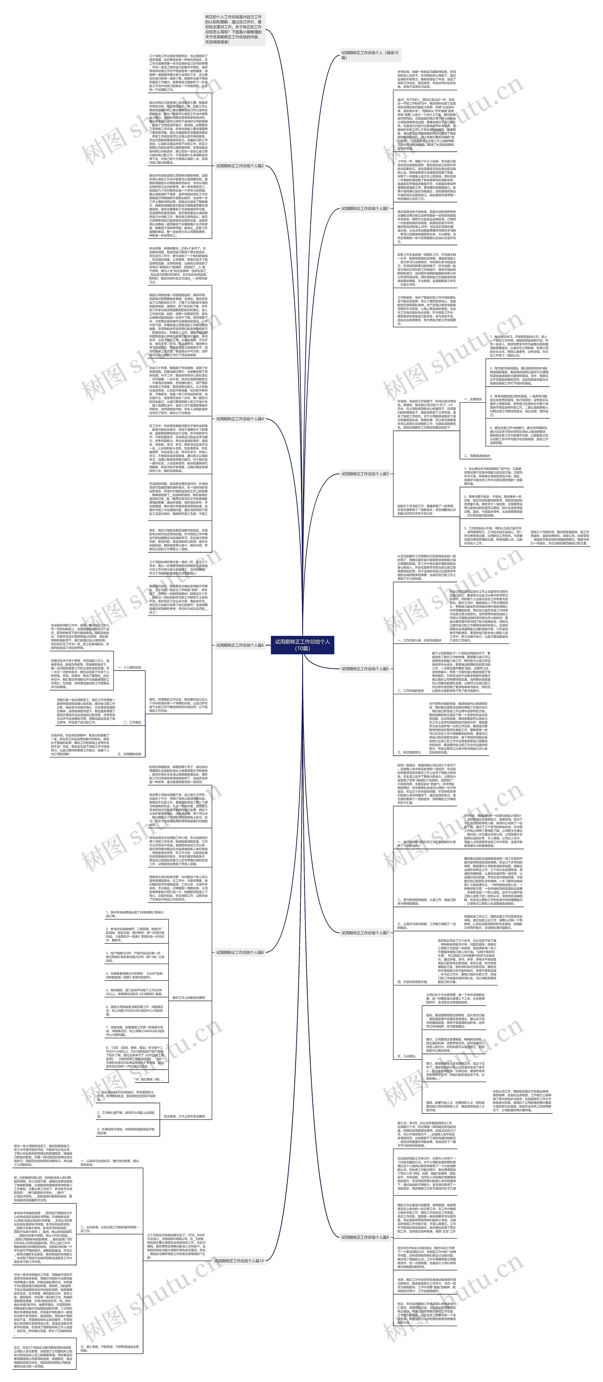 试用期转正工作总结个人（10篇）思维导图