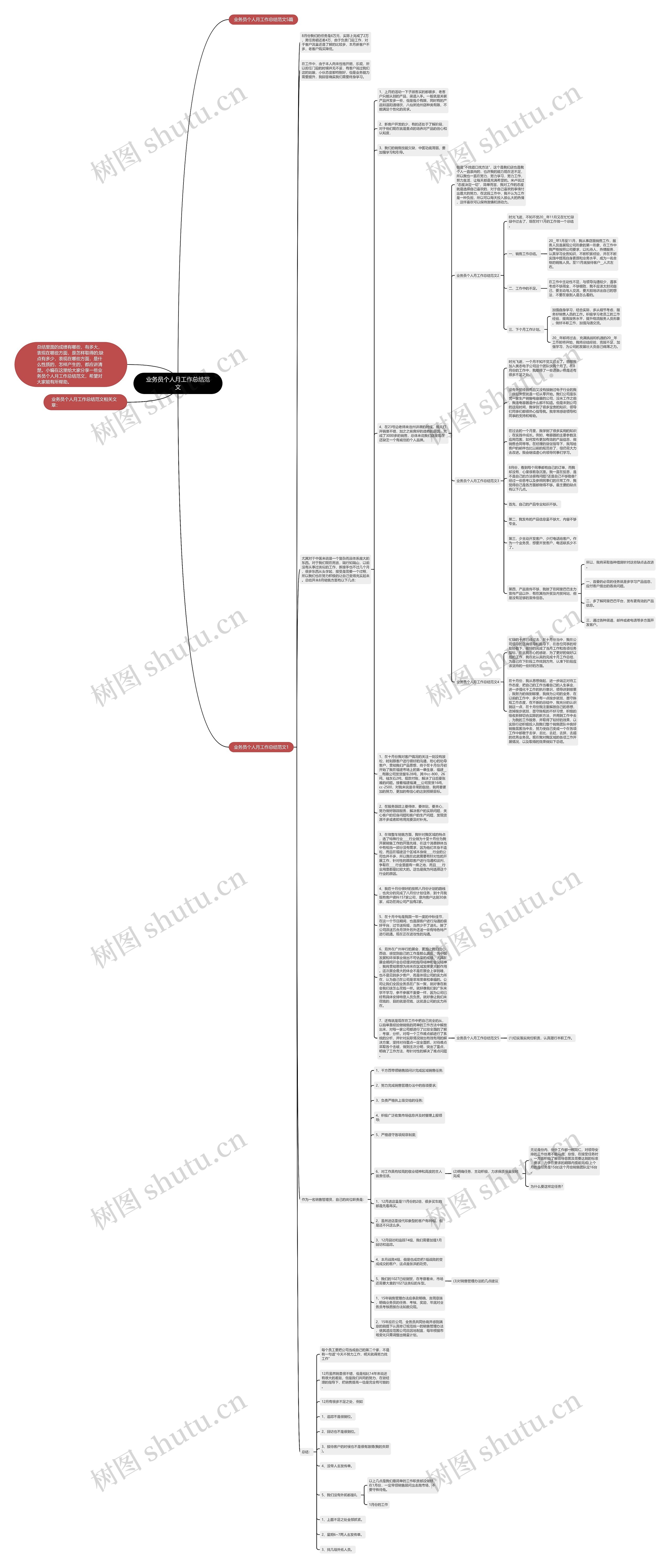业务员个人月工作总结范文思维导图