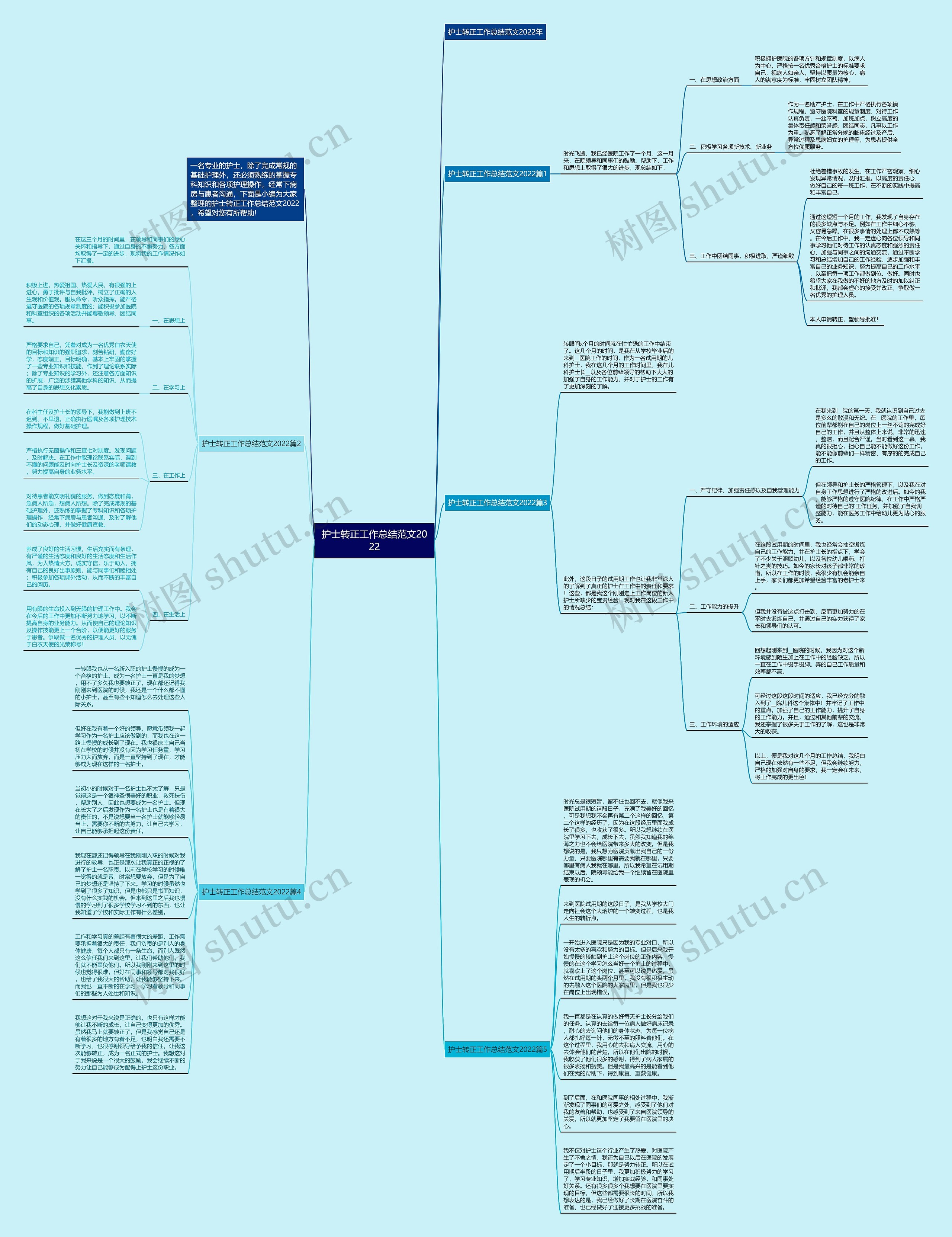 护士转正工作总结范文2022思维导图