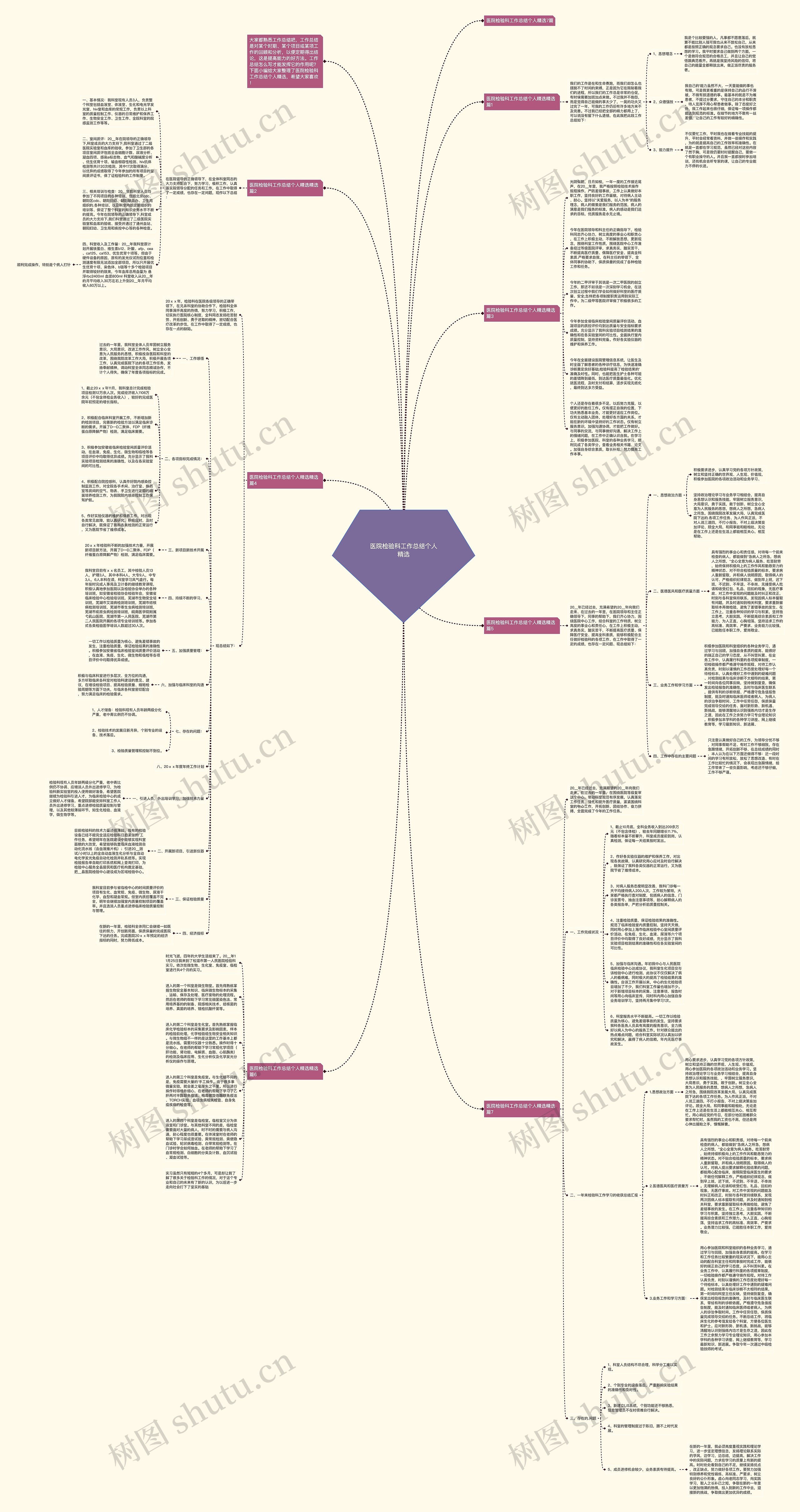 医院检验科工作总结个人精选思维导图