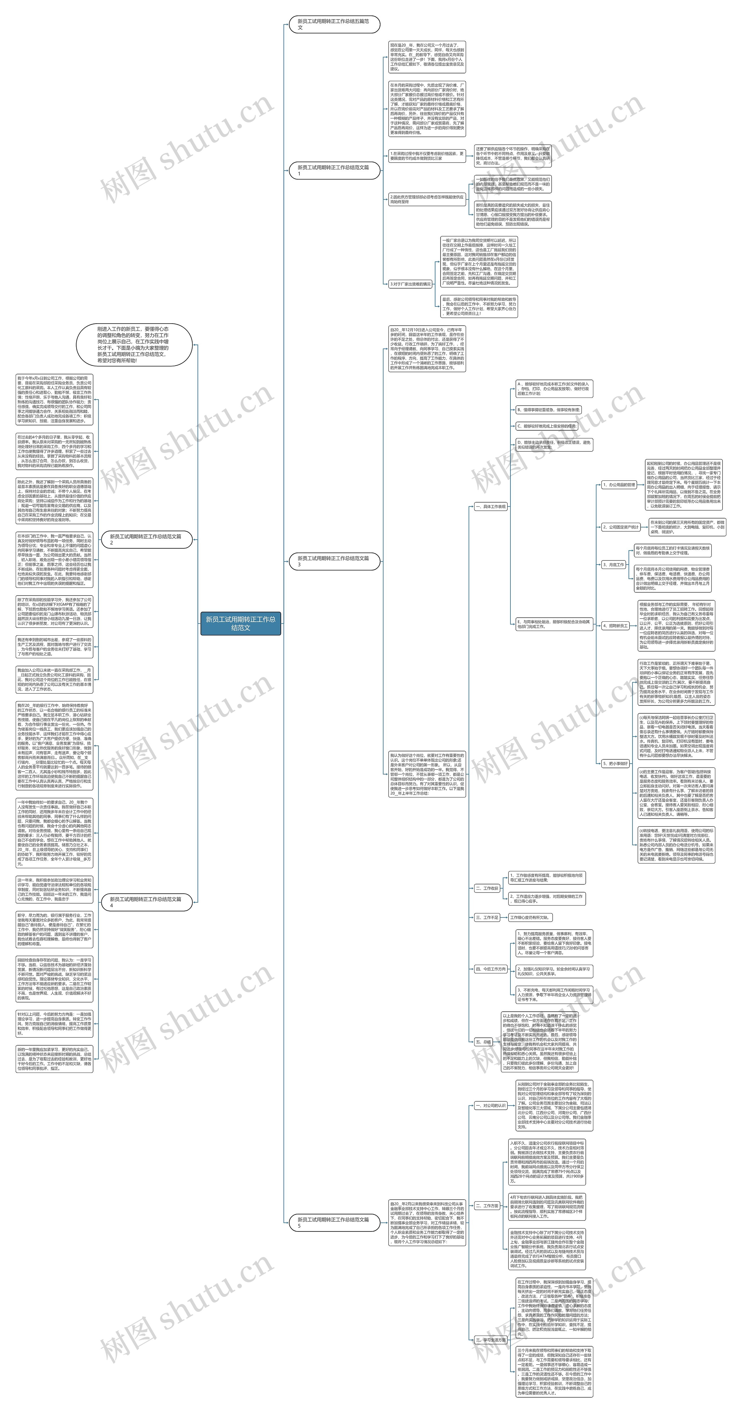 新员工试用期转正工作总结范文思维导图