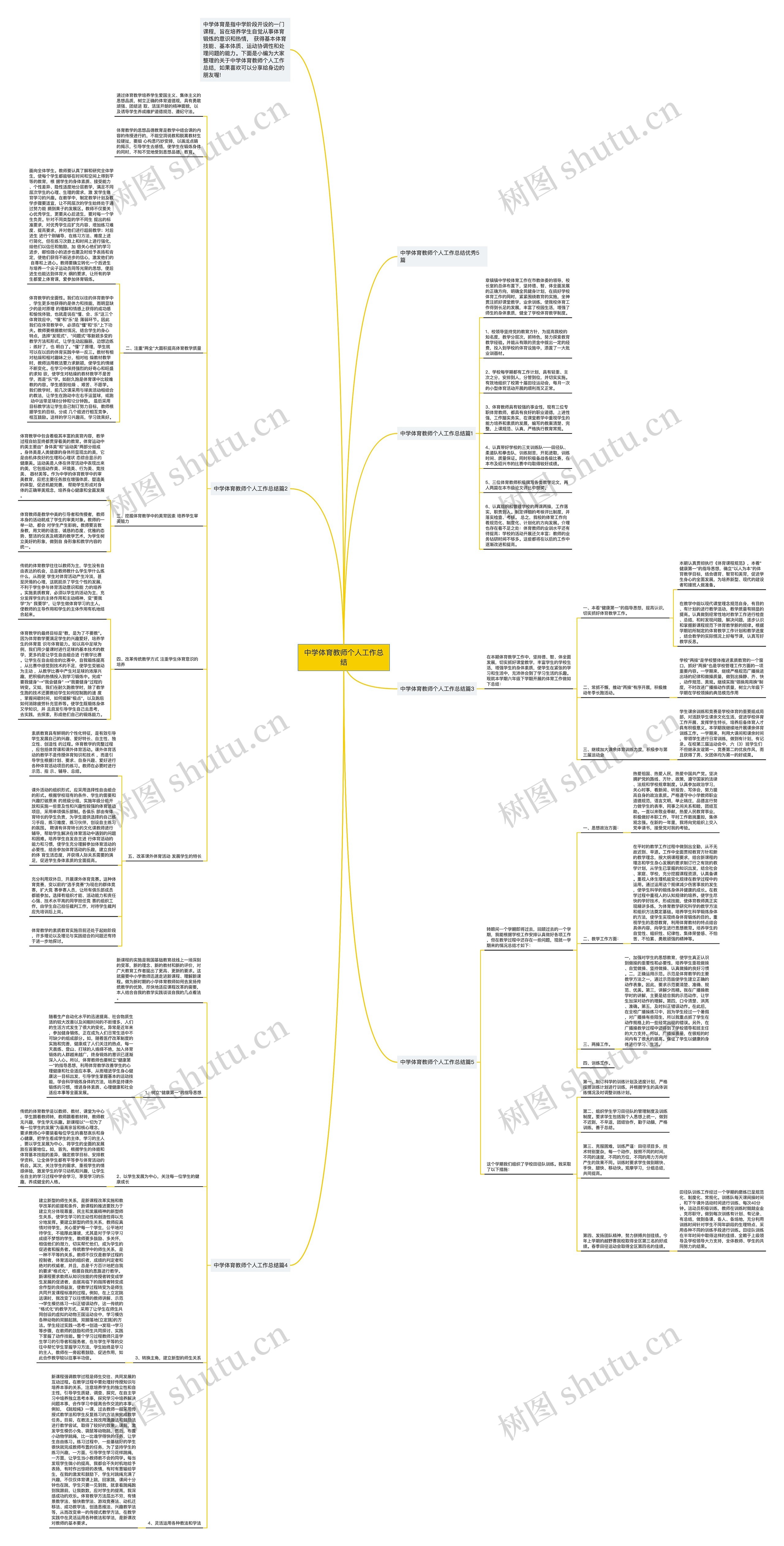 中学体育教师个人工作总结思维导图